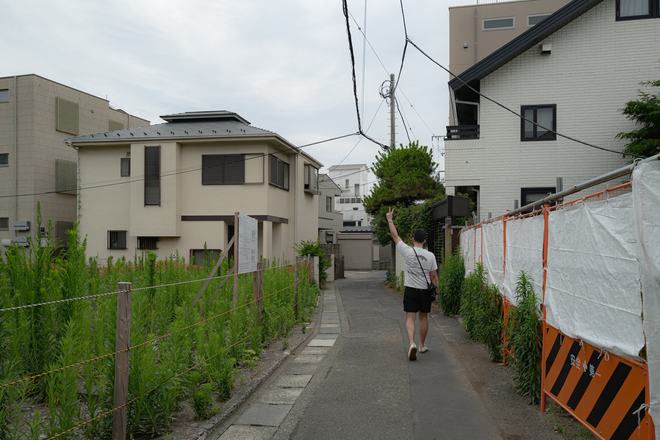 L1061887.jpg