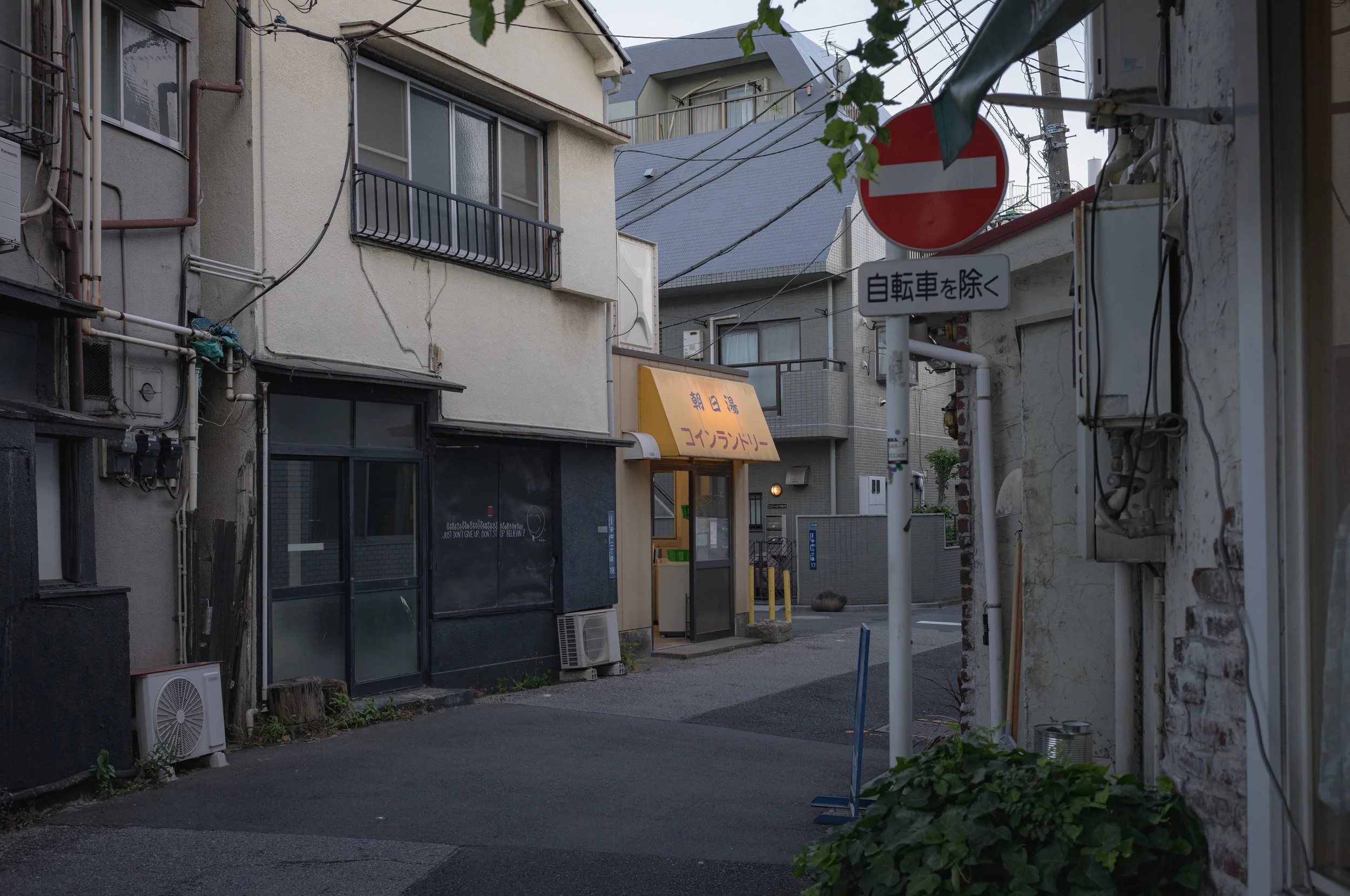 L1000053.jpg