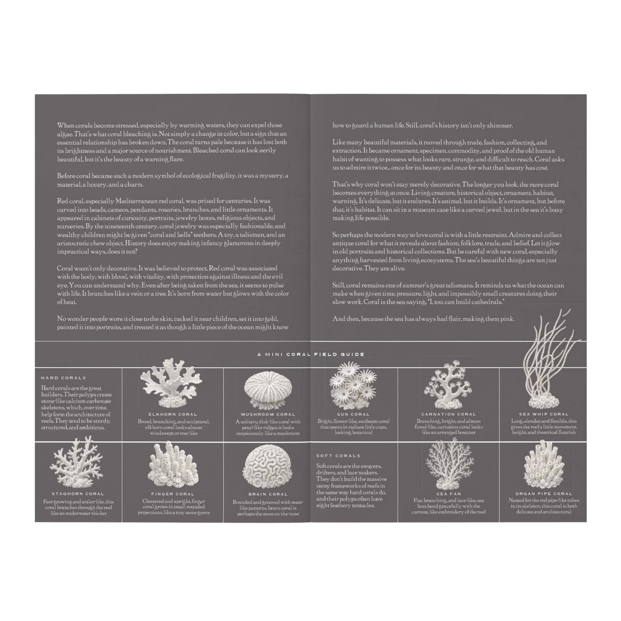 Untitled design - 2026-07-18T071411.923.png