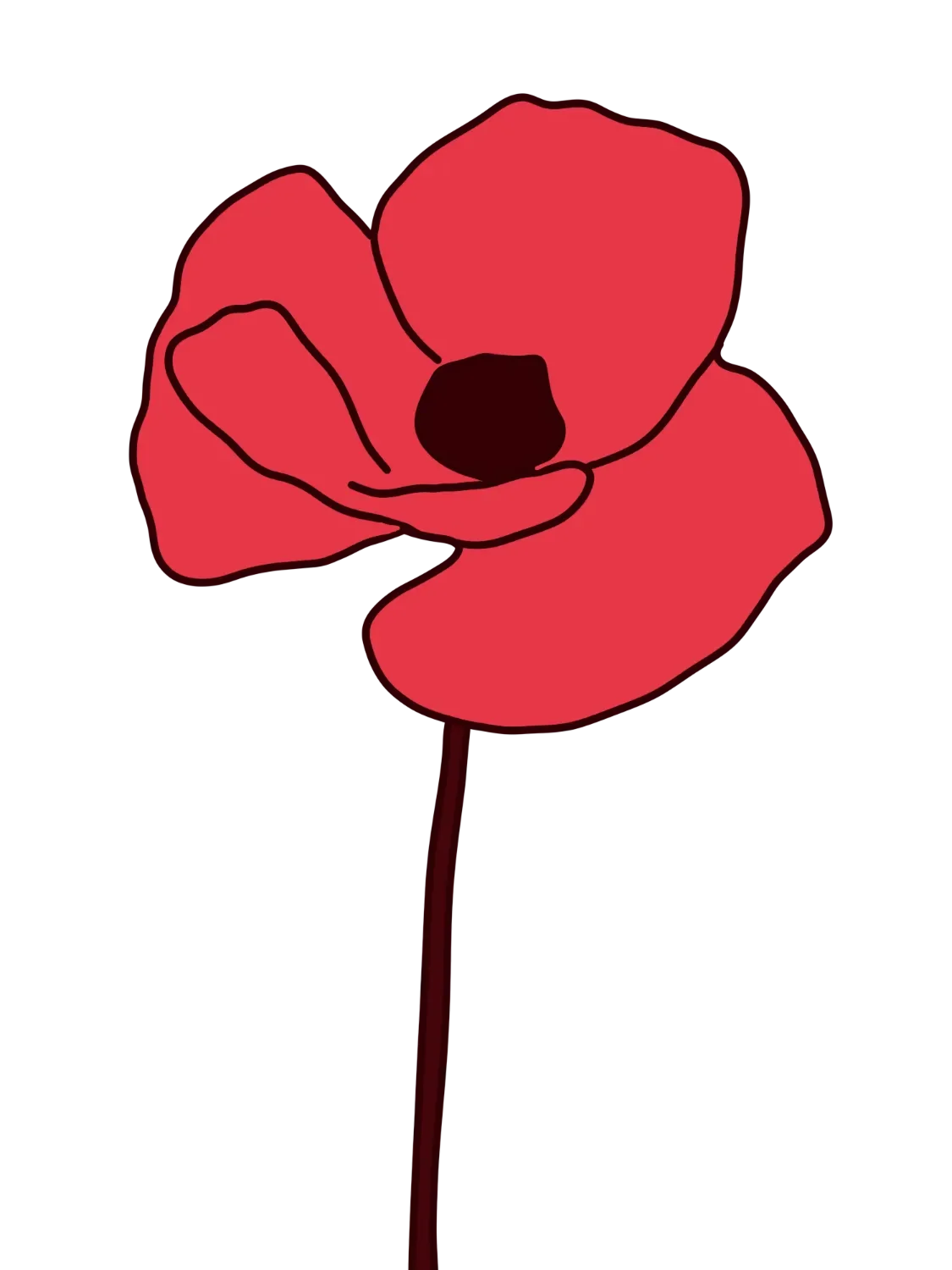 Hand-drawn field poppy illustration