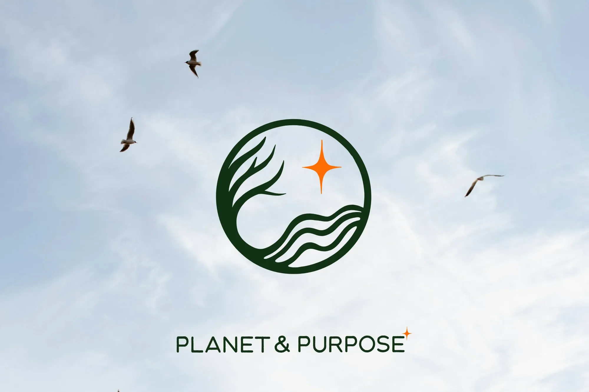 Planet & Purpose | B Corp™ & Impact Consultant