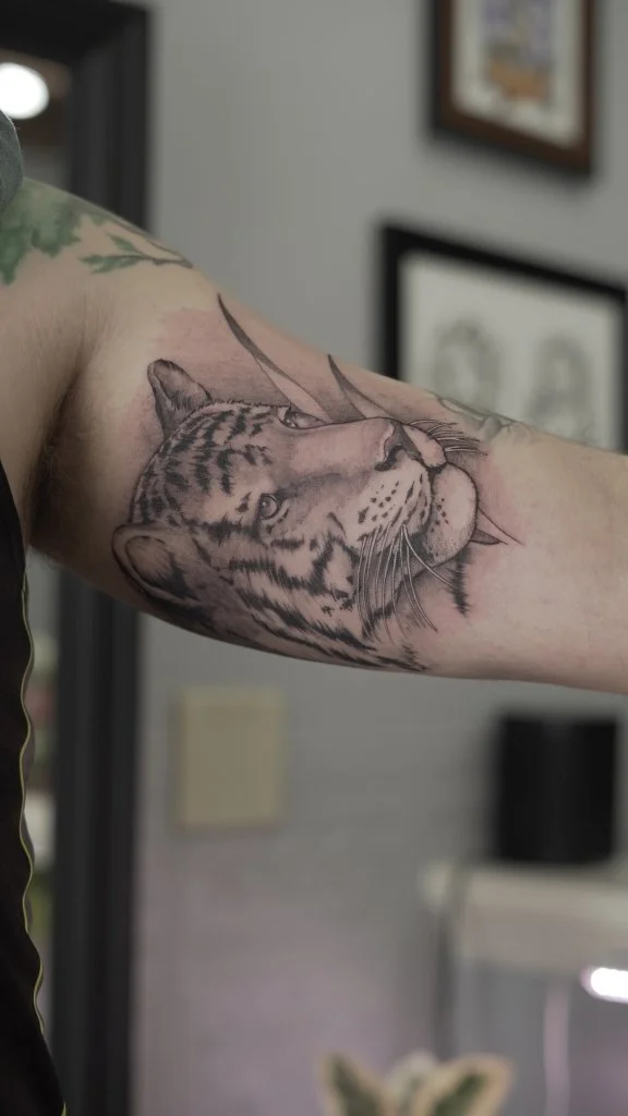 Pedro Tiger Arm.JPG
