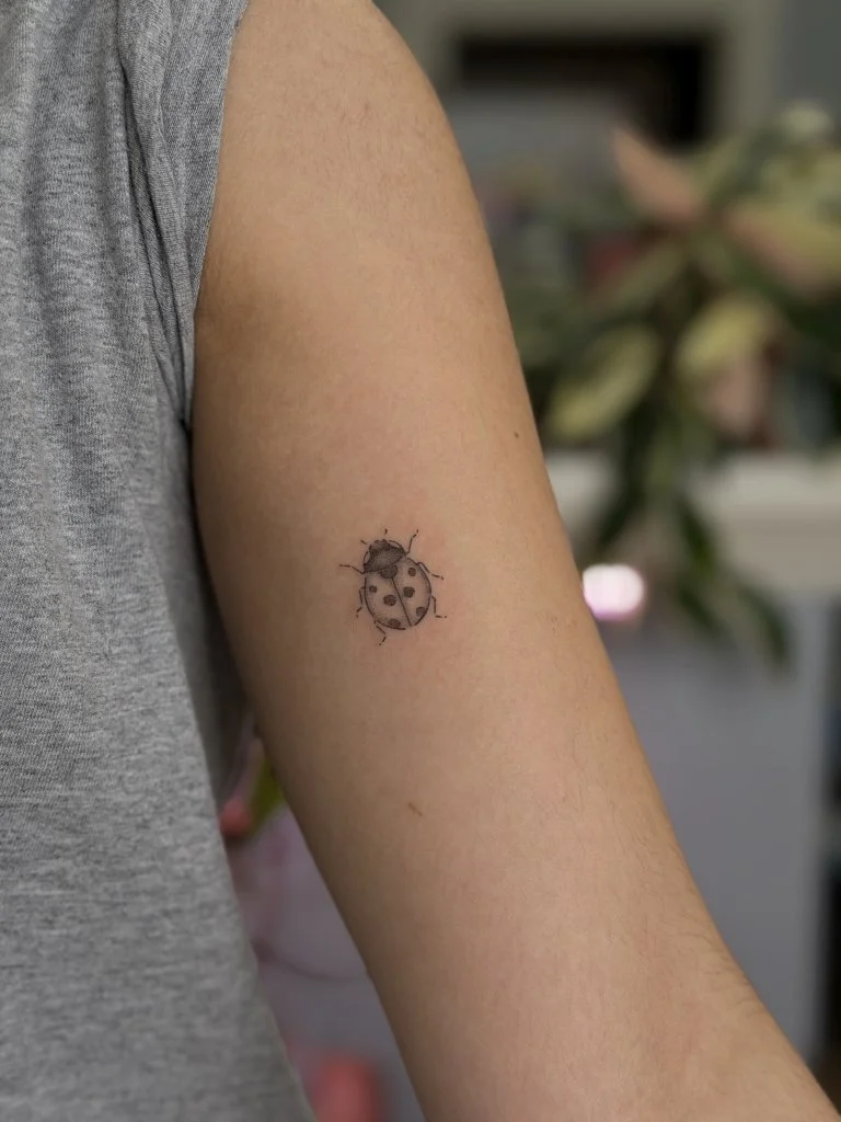 Zara Ladybug Arm.jpg