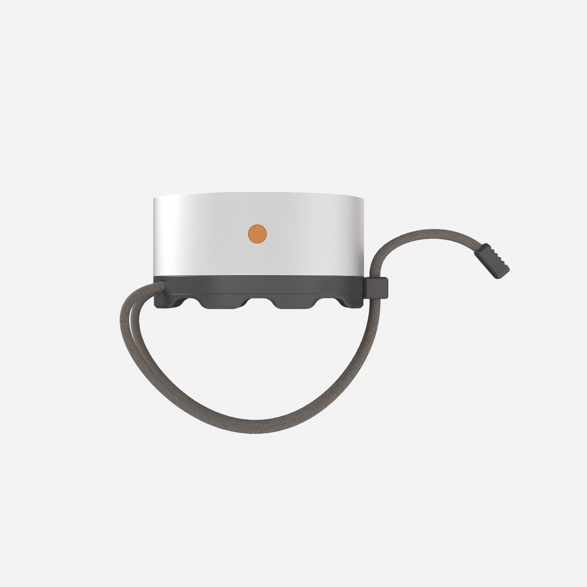 GPS/LORA COMMUNICATOR - FUNCTIONAL PROTOTYPE 202410