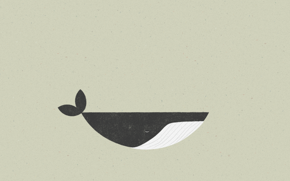 whale (Converted).gif