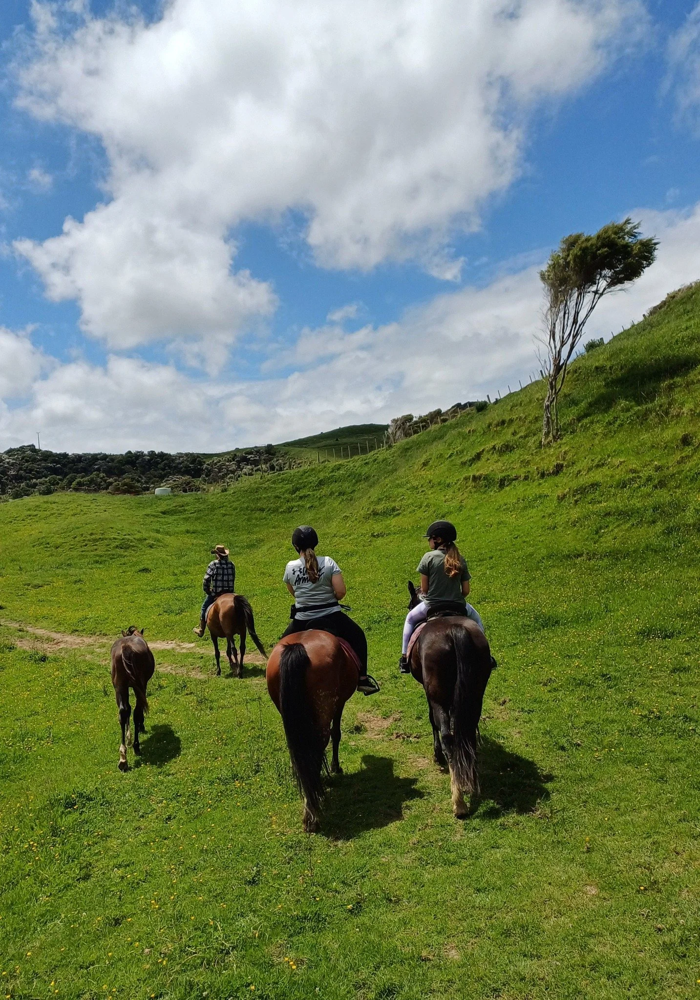 Horse Trekking