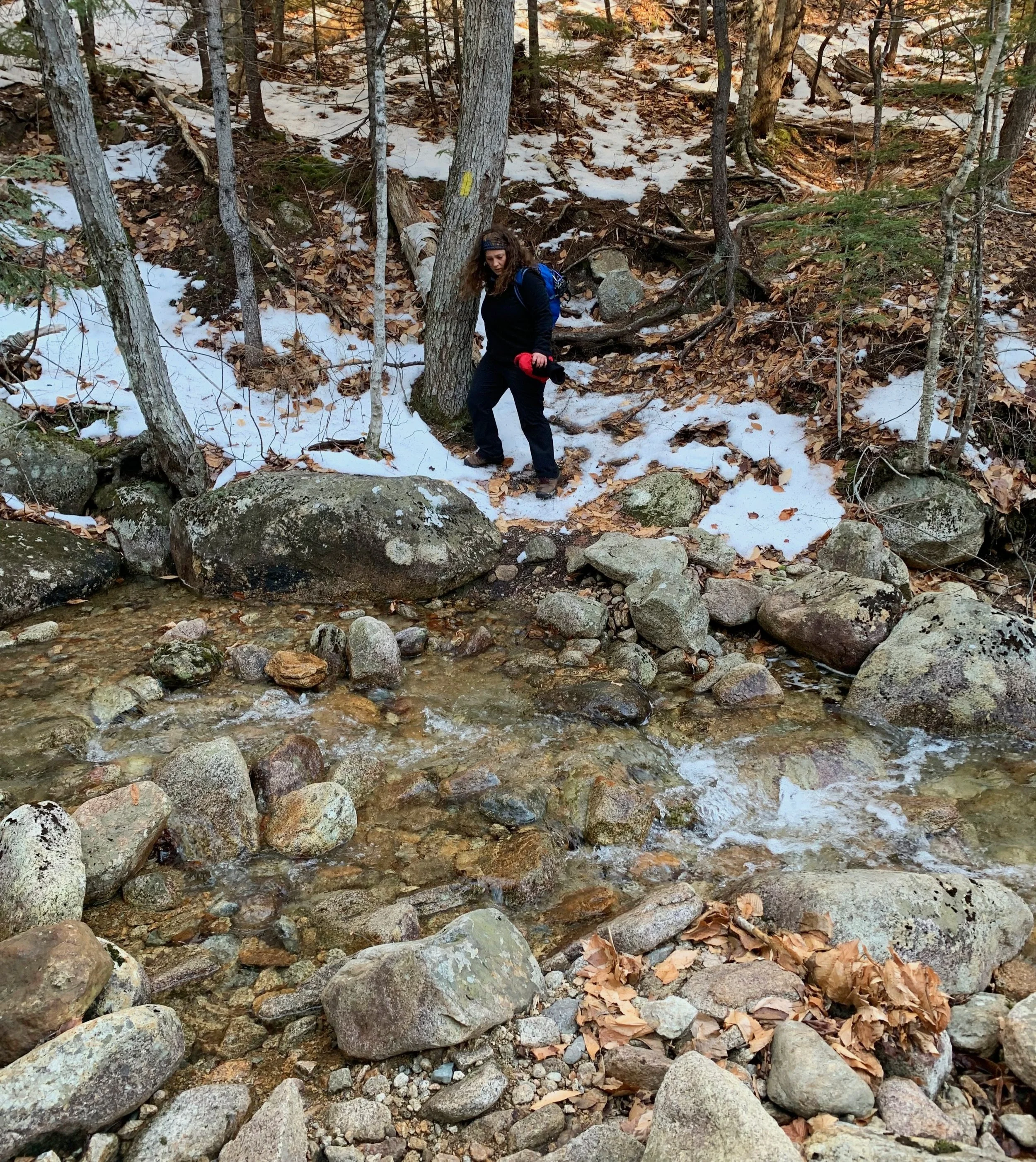 Mount Tremont — A Talk in the Woods