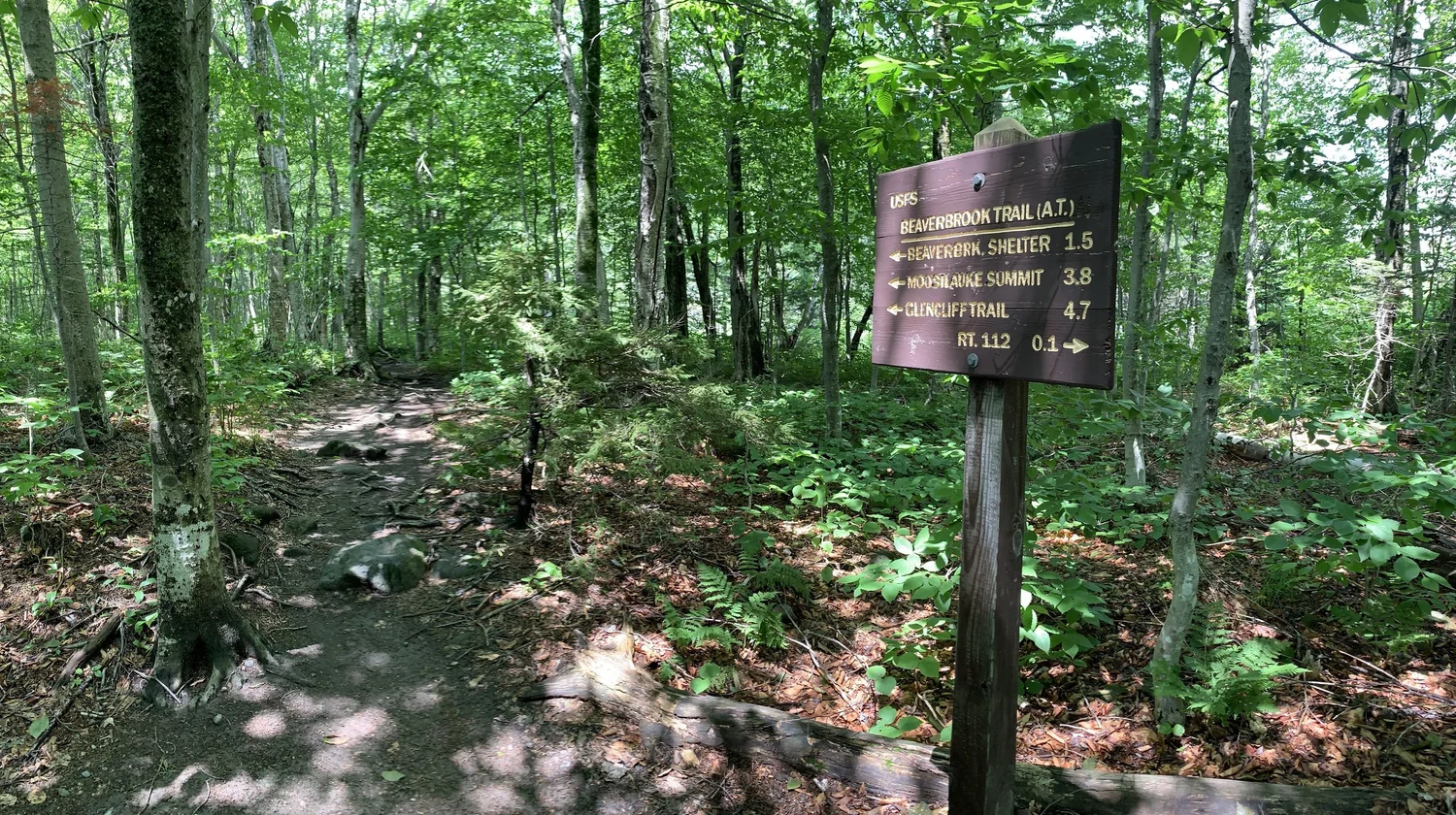 Mt Moosilauke Beaver Brook Trail — A Talk in the Woods