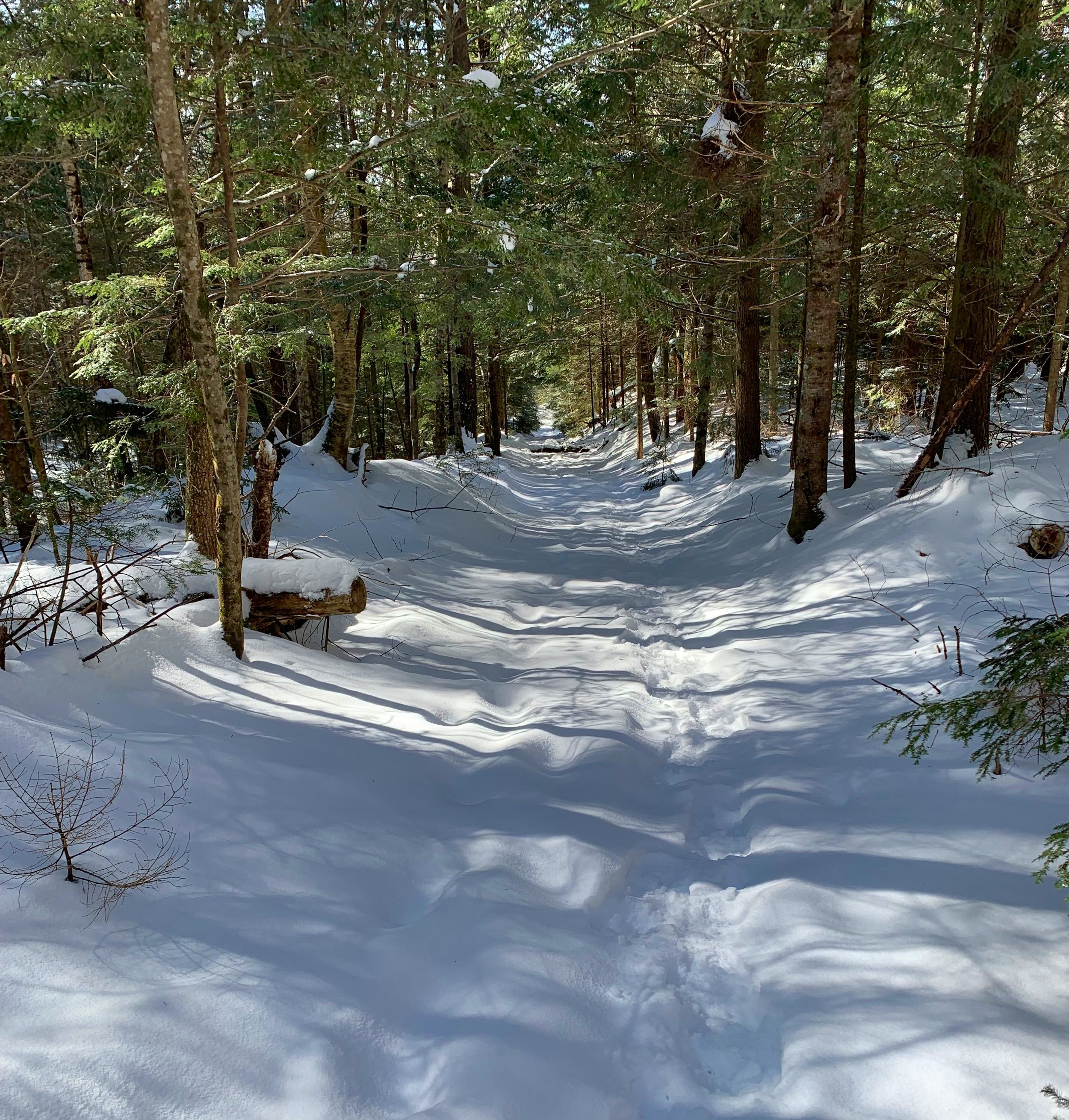 Sugarloaf + Hogsback Ridge — A Talk in the Woods
