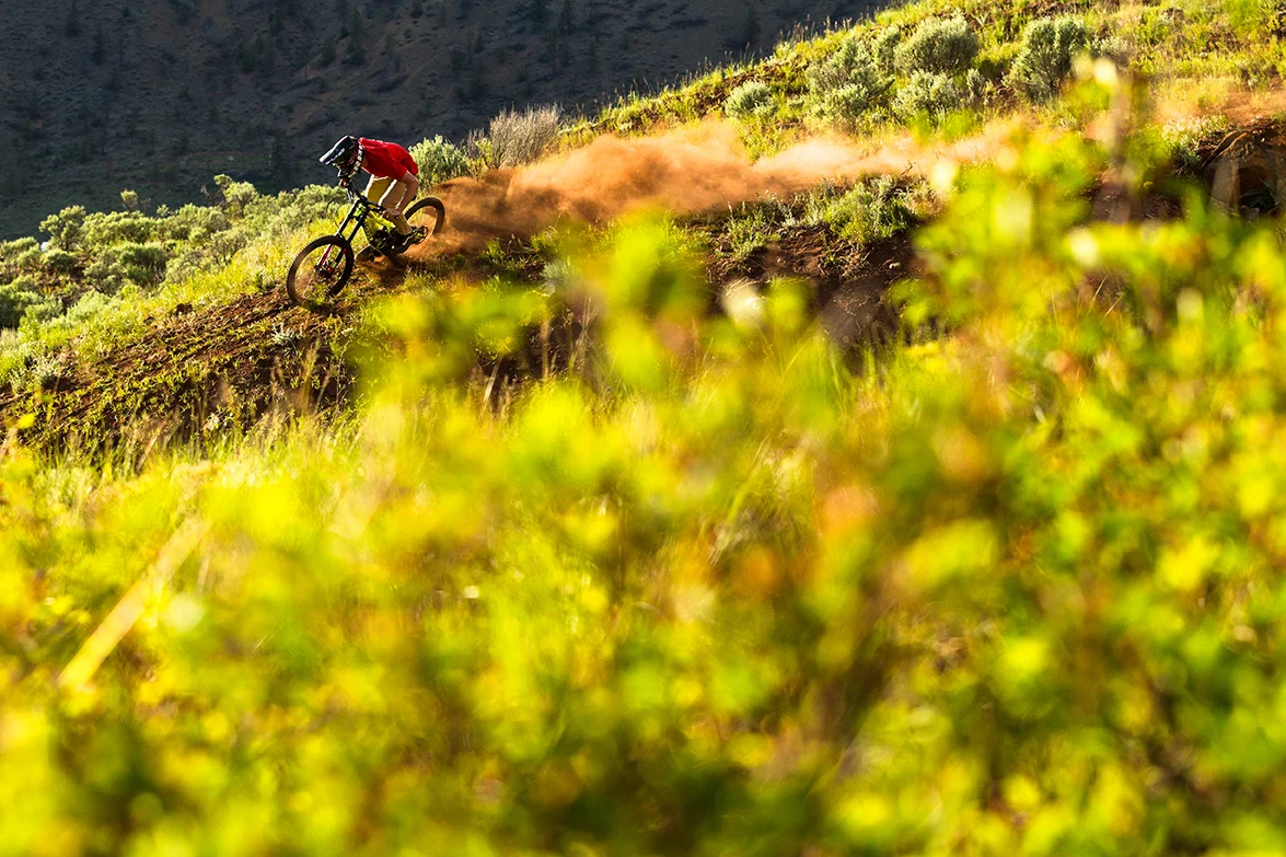 Online Premiere of ARRIVAL is Live! Watch it now!