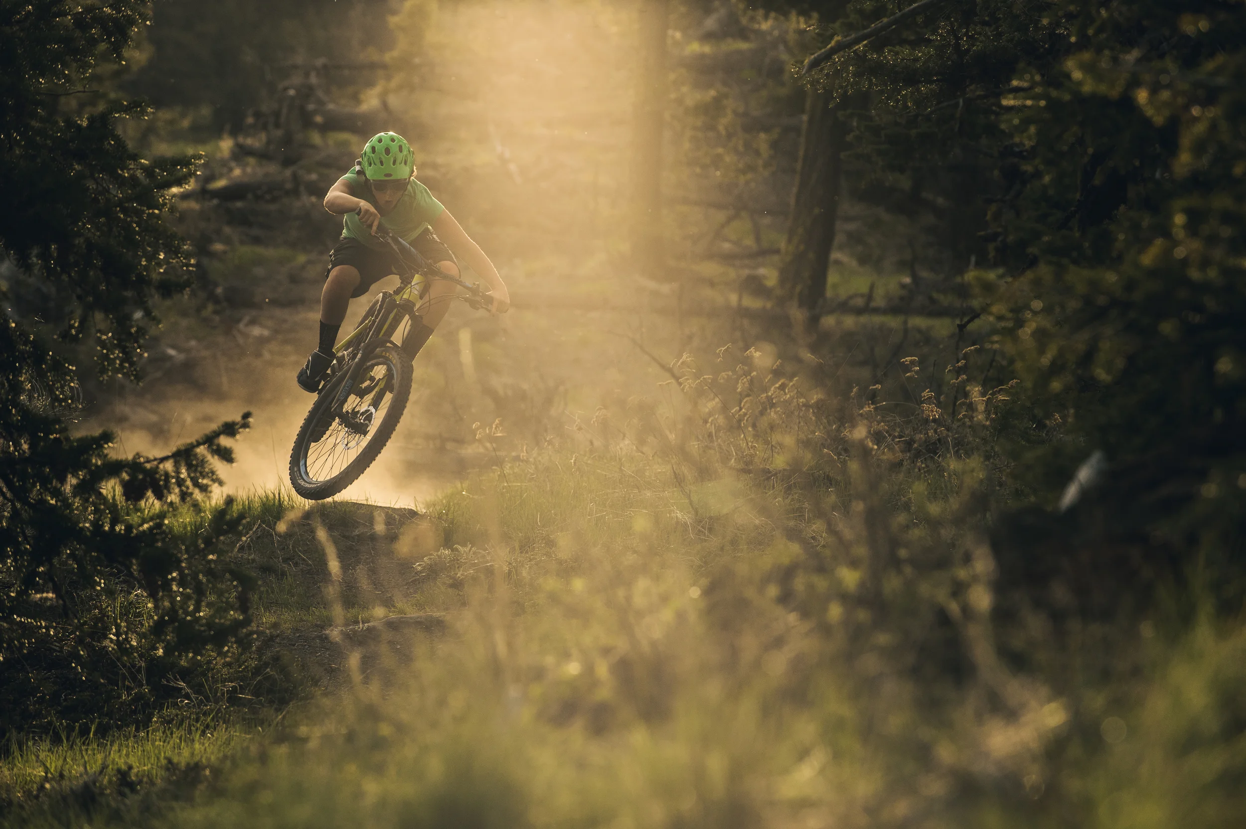 Casey Brown & Poppy the Dog: Tail Gunner