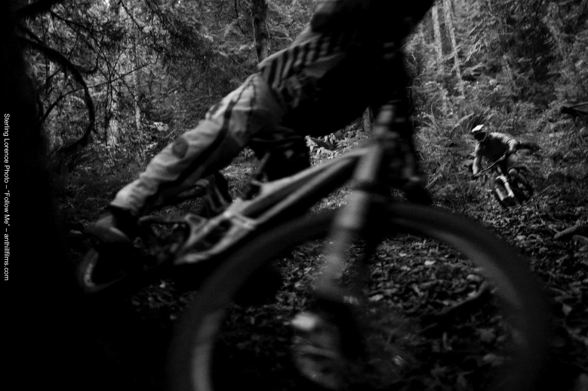 Catching up with Vanderham