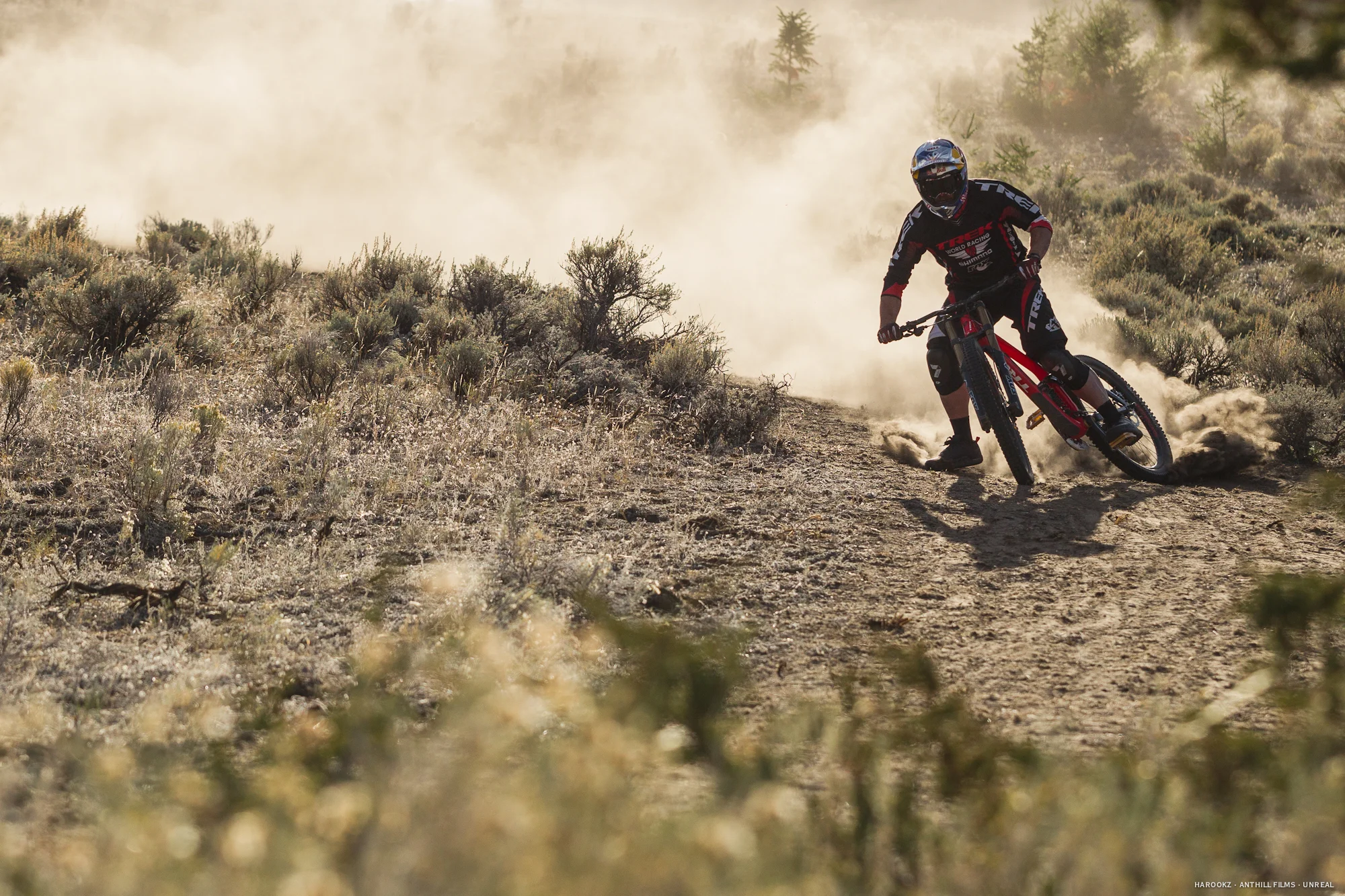 The Drift Track: Stevie Smith & Brook Macdonald