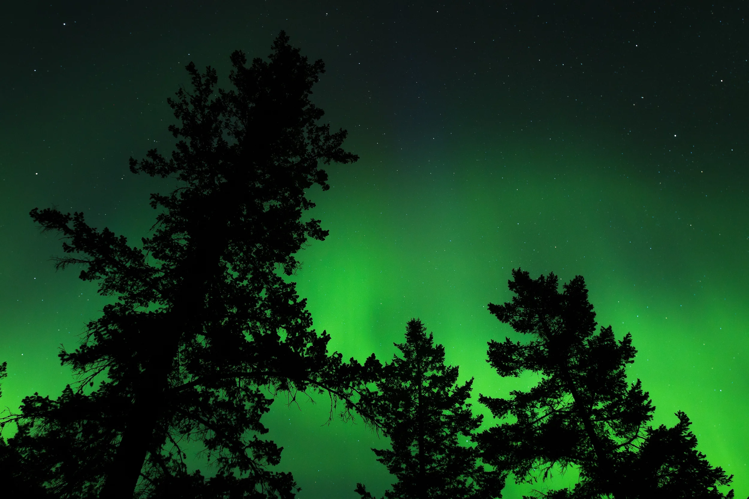 Trailer: SecondBase Films Presents ARRIVAL