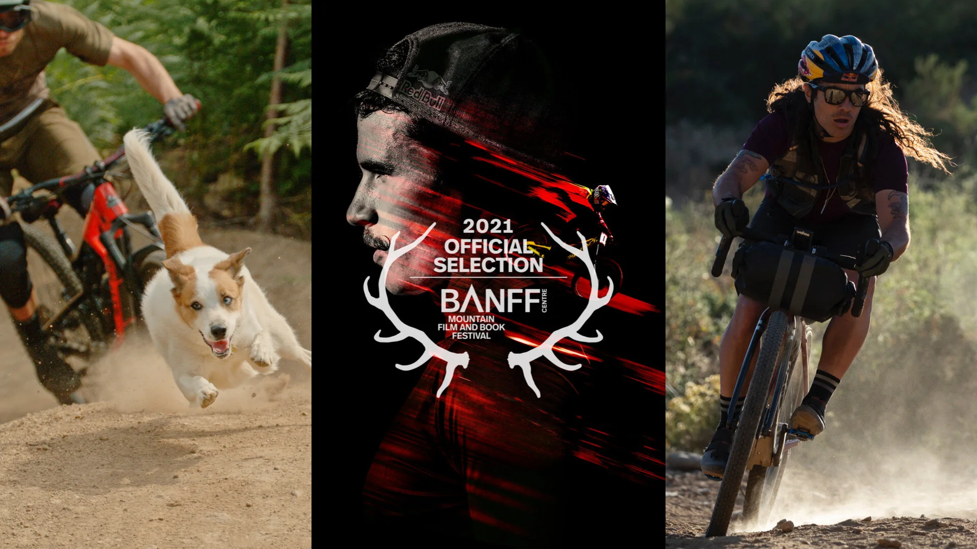 Long Live Chainsaw, Never in the Way and A Dog's Tale Selected for Banff Film Festival