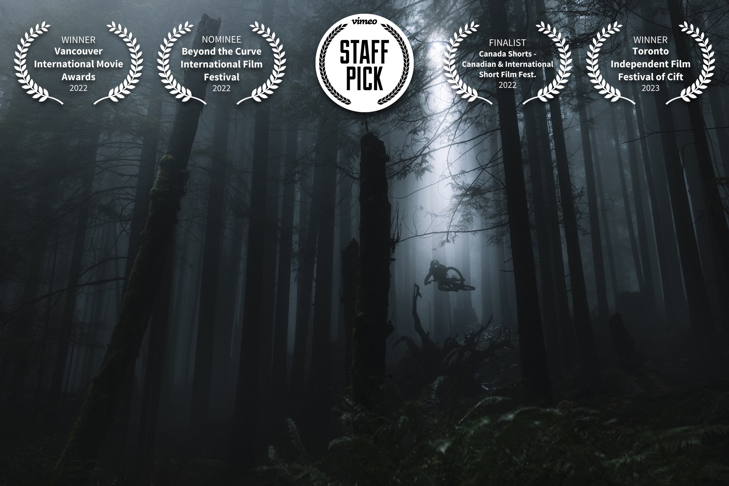 Lightfall: A Journey in Photography with Sterling Lorence