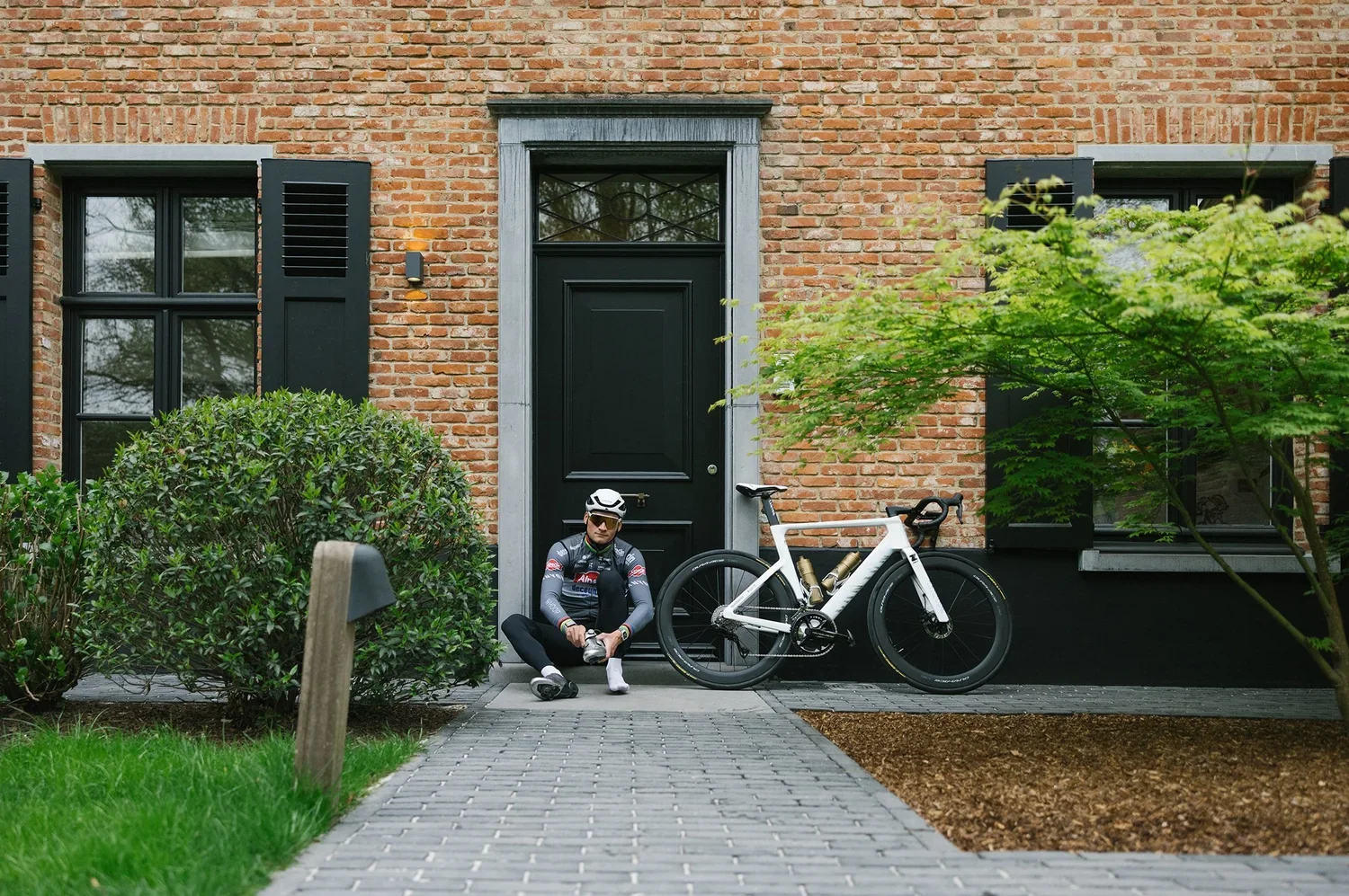 MATHIEU VAN DER POEL - THIS IS HOME