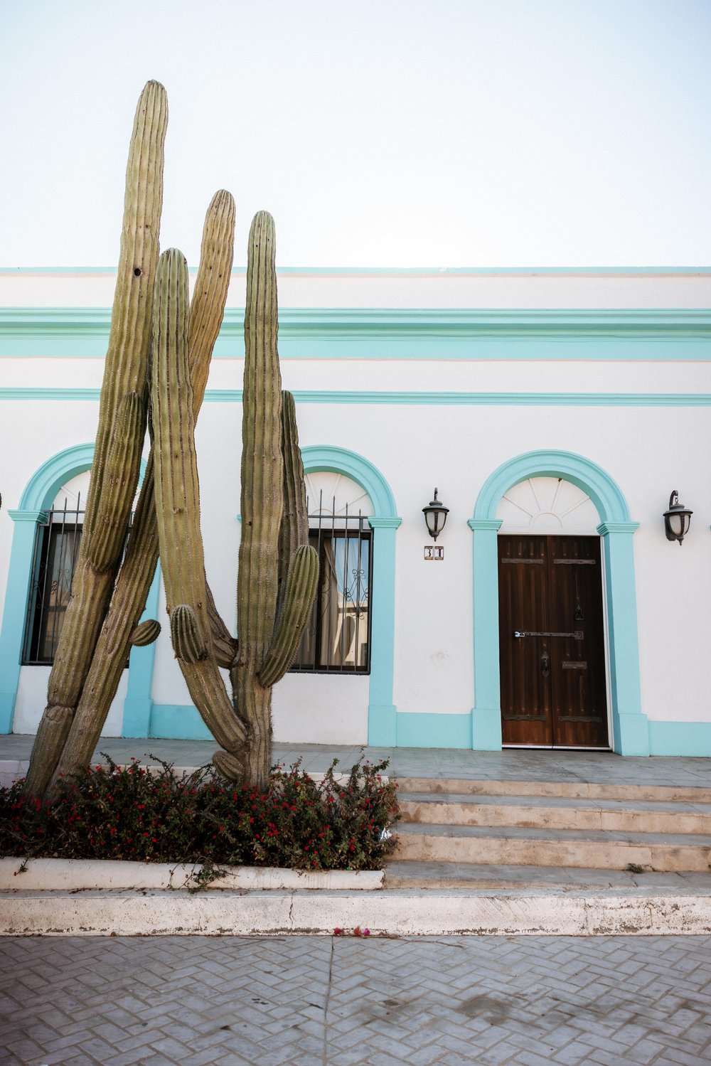 Streets of Todos Santos