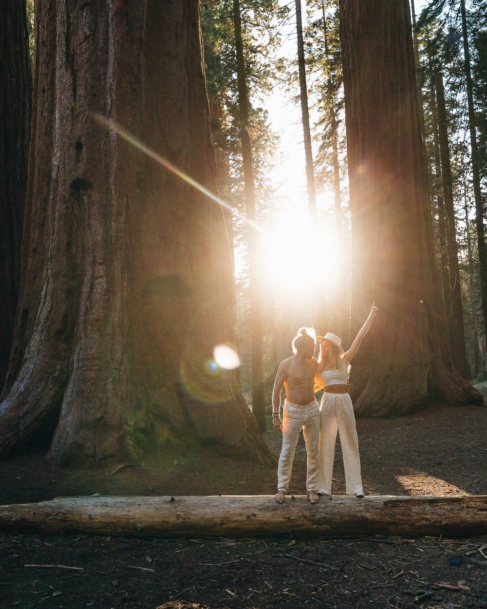 Sequoia National Park