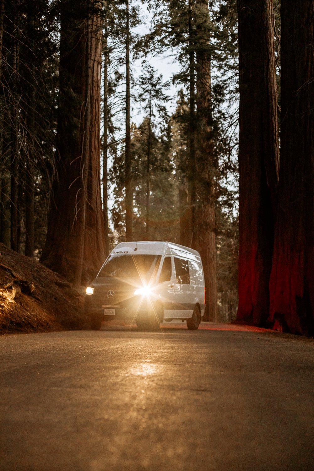 Sequoia National Park