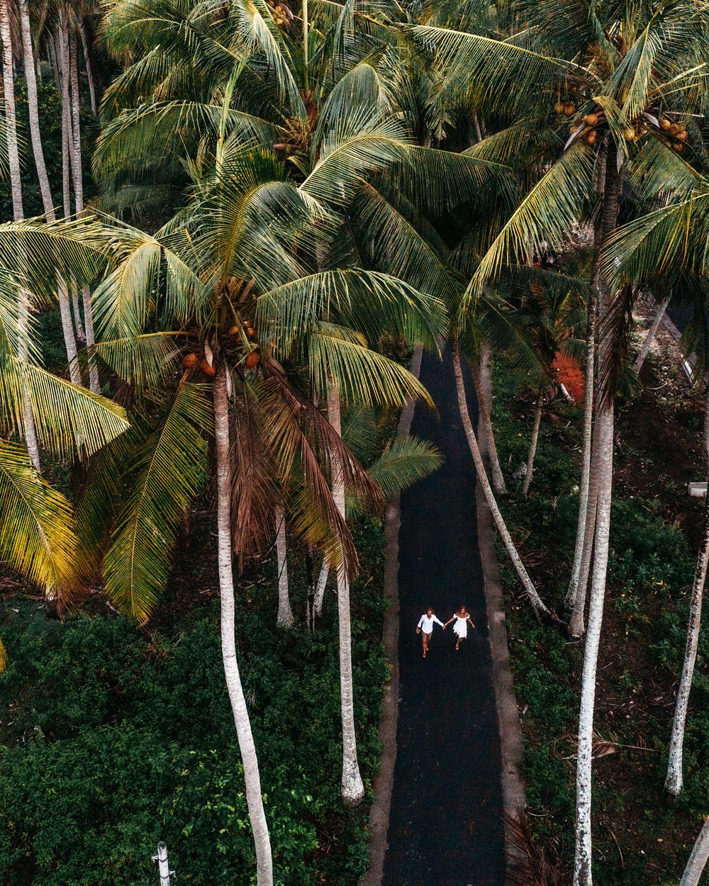 Palm Tree Grove (Behind Parking Lot)