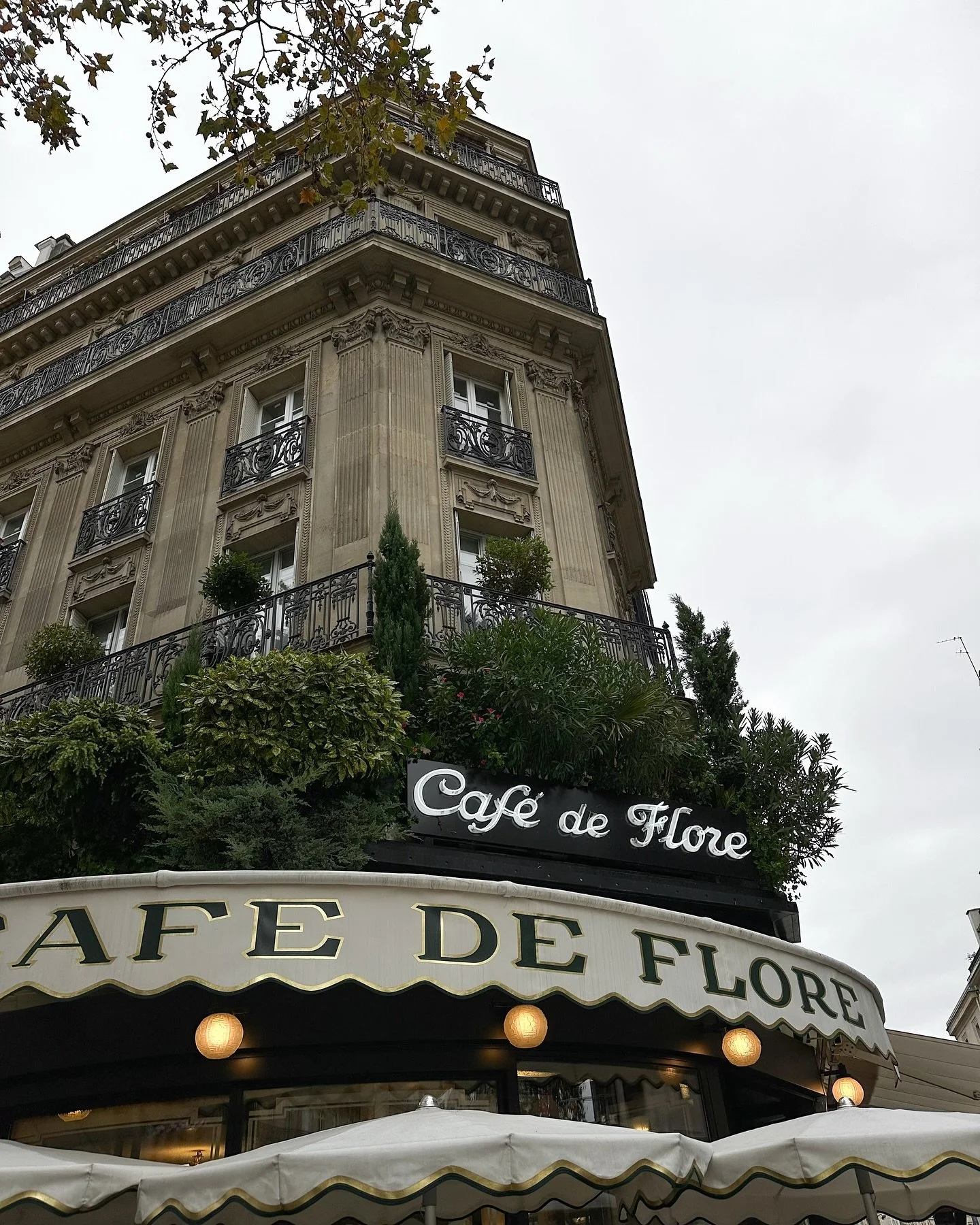 a few of our favorite restaurants in the city right now: 

@cafe_deflore 
@girafe_paris 
@cherry.paris_ 
@rosewoodhoteldecrillon 
@lamascottemontmartre 
@fouquets.paris 
@lesombres.quaibranly 
@jolia.paris 
@lavenueofficiel 
@lasociete.paris 
@mo_par