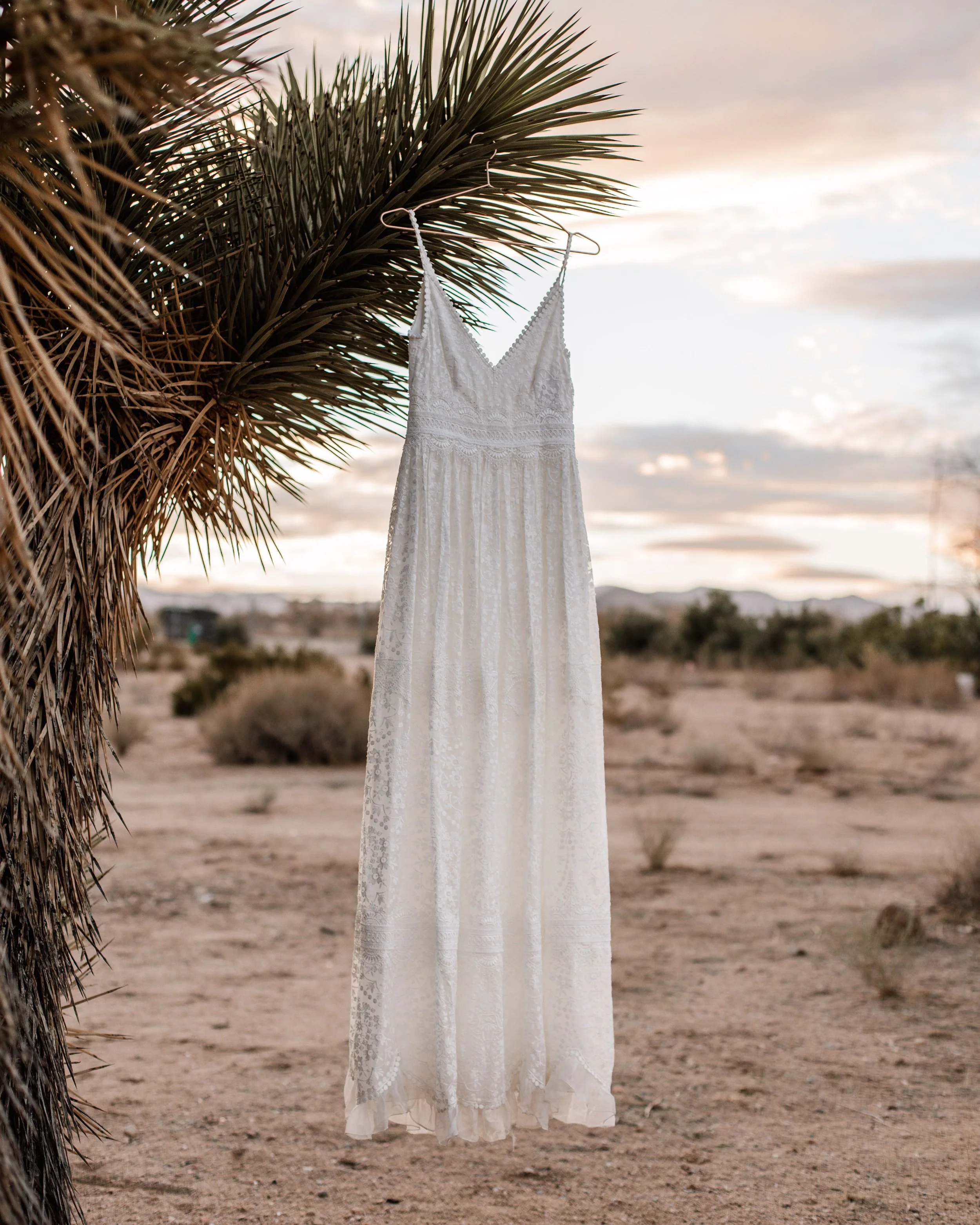 BHLDN Anthropology