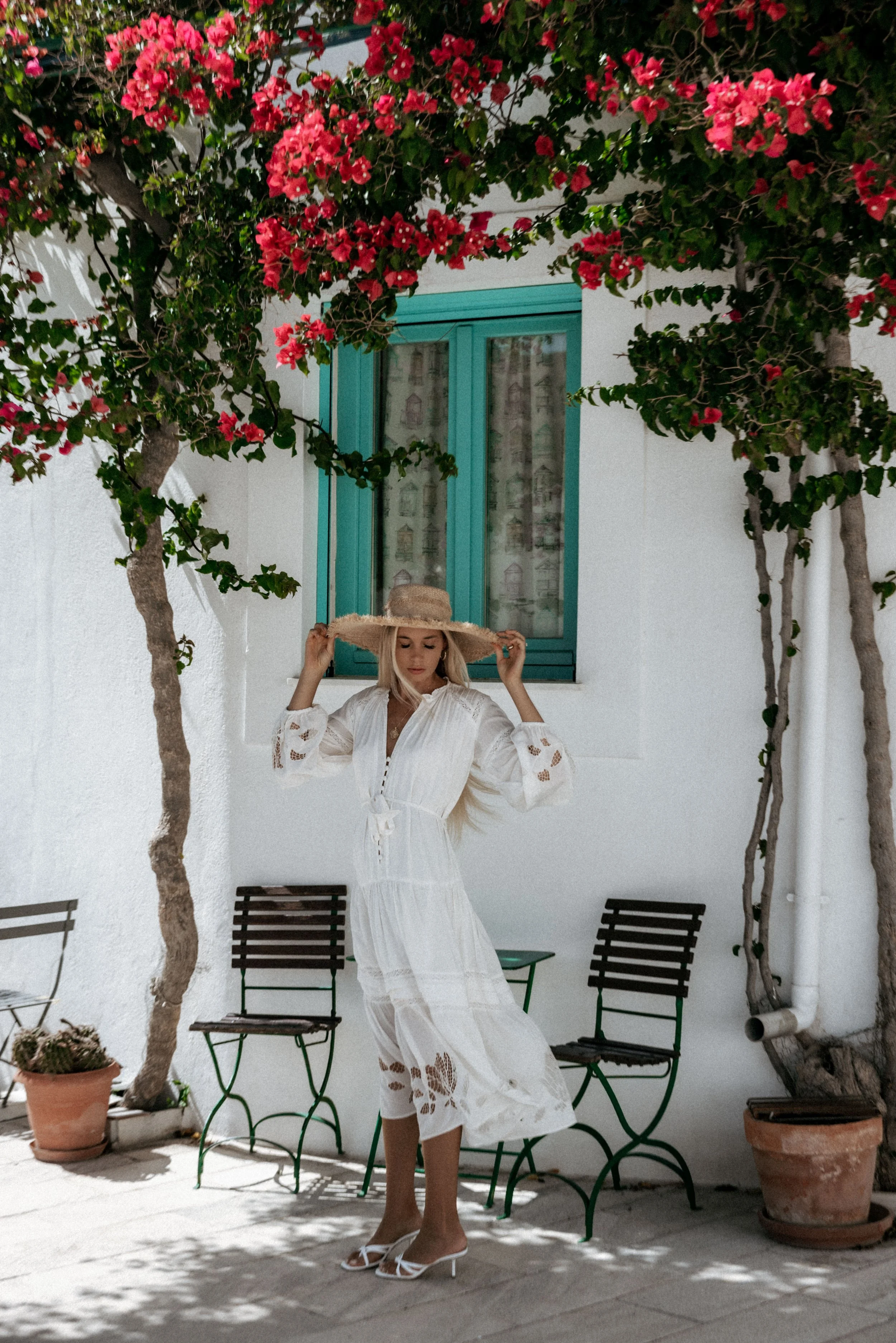 Palma Austalia