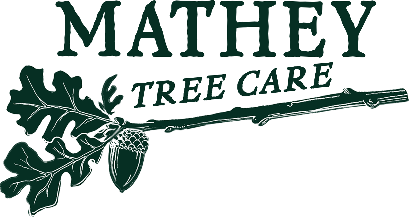 Mathey Tree Care &amp; Consulting