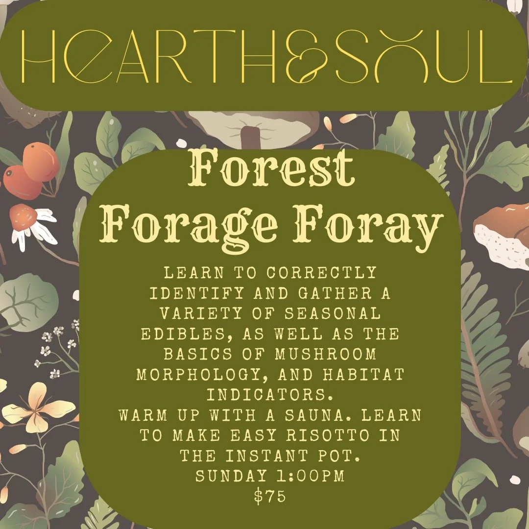 Sunday Feb 8th 1-5pm, Hearth&amp;Soul wraps up with a walk in the HeartWoods. Learn the basics of mushroom identification for safe consumption , as well as the deep relationship between forest and fungi, and more about companion trees and habitat. Yo