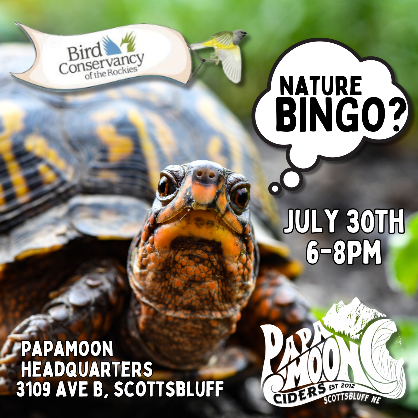 Nature BINGO