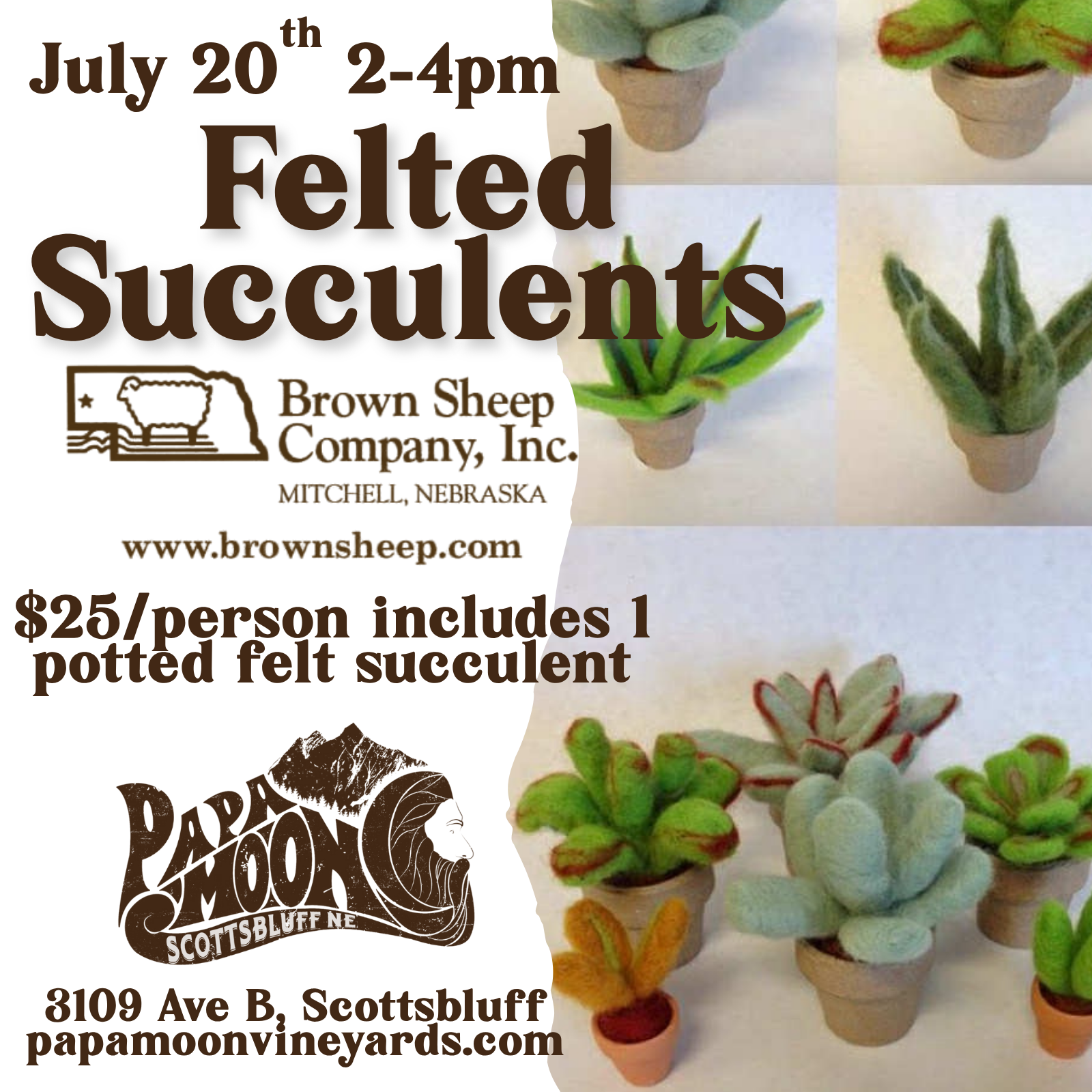Felted Succulents