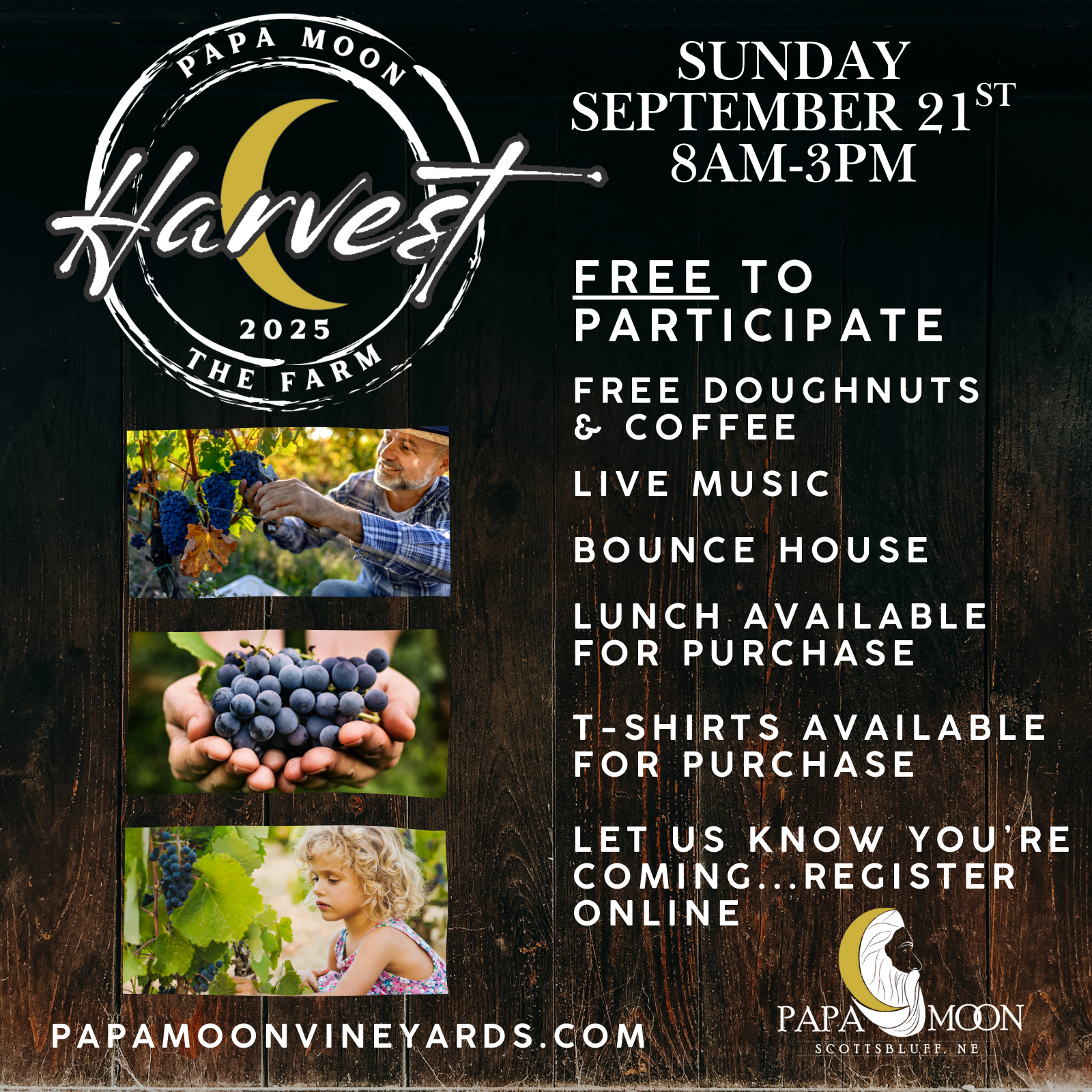 Harvest festival