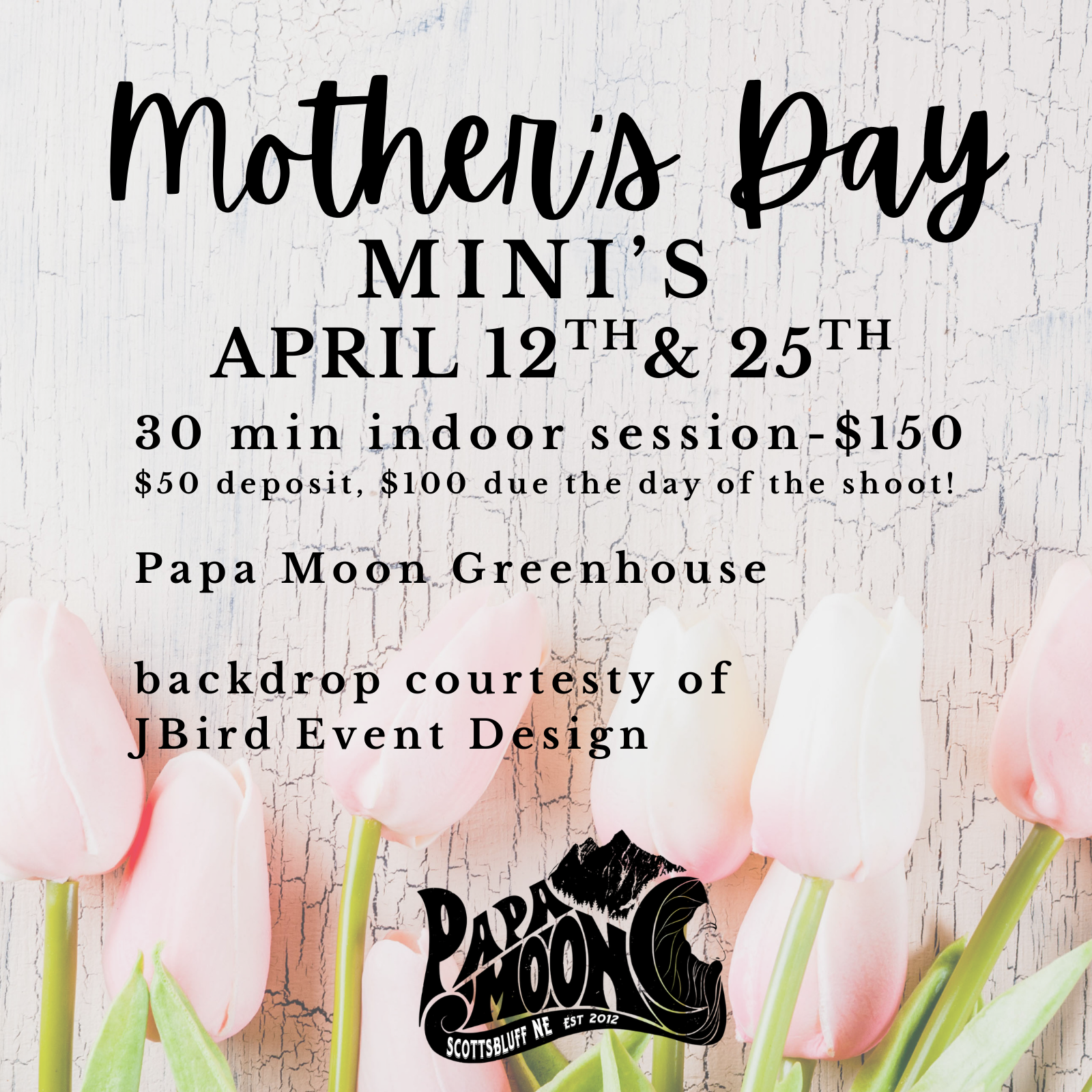 Mother's Day Mini-Photo Session 