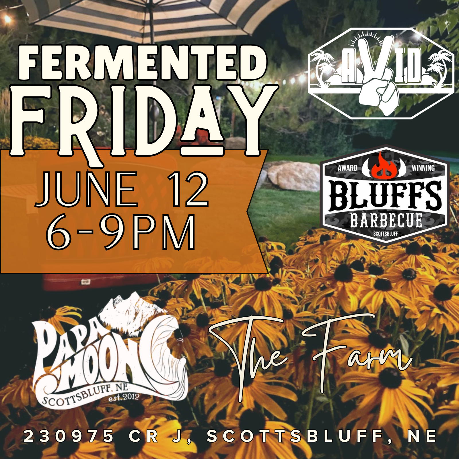 Fermented Friday