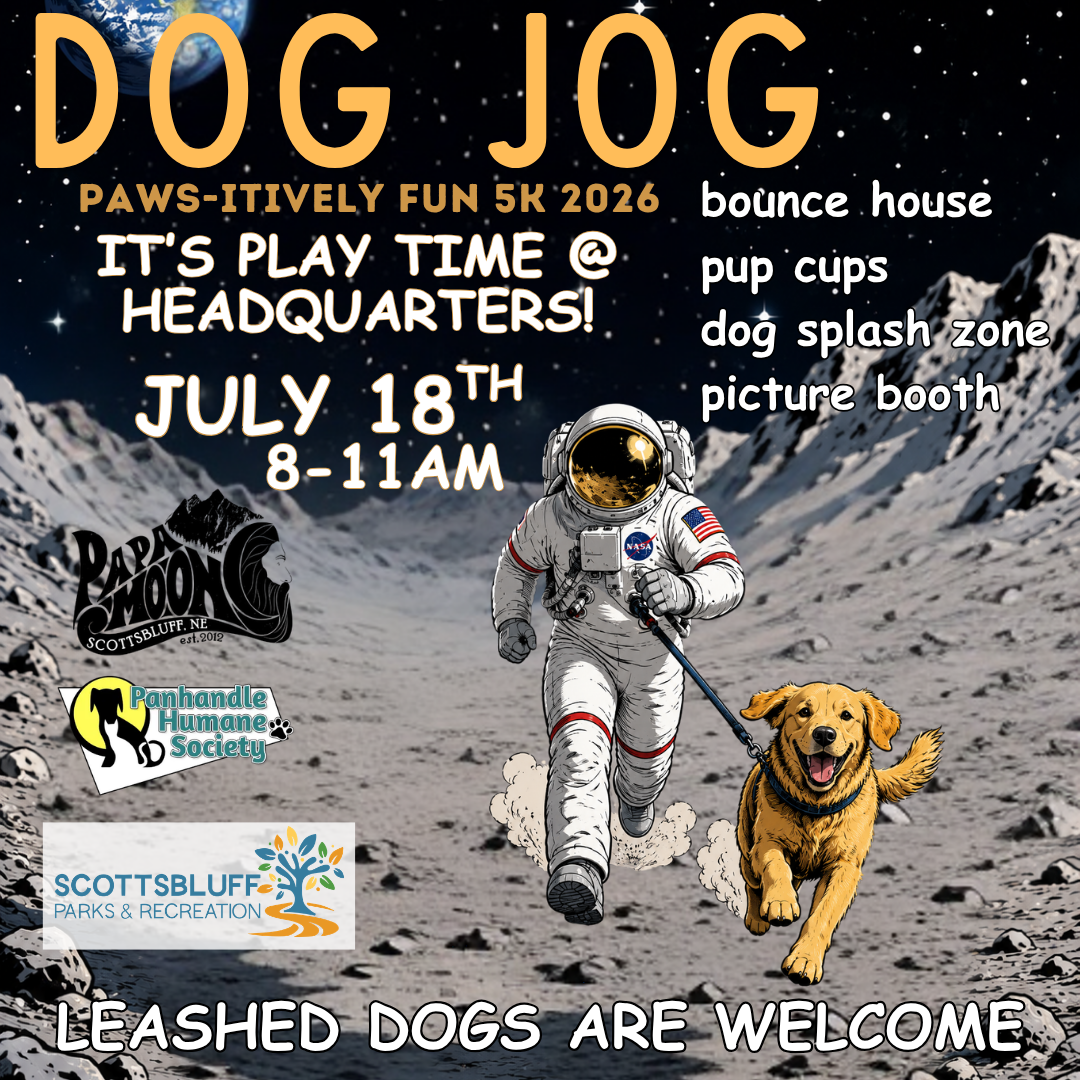 Dog Jog Headquarters