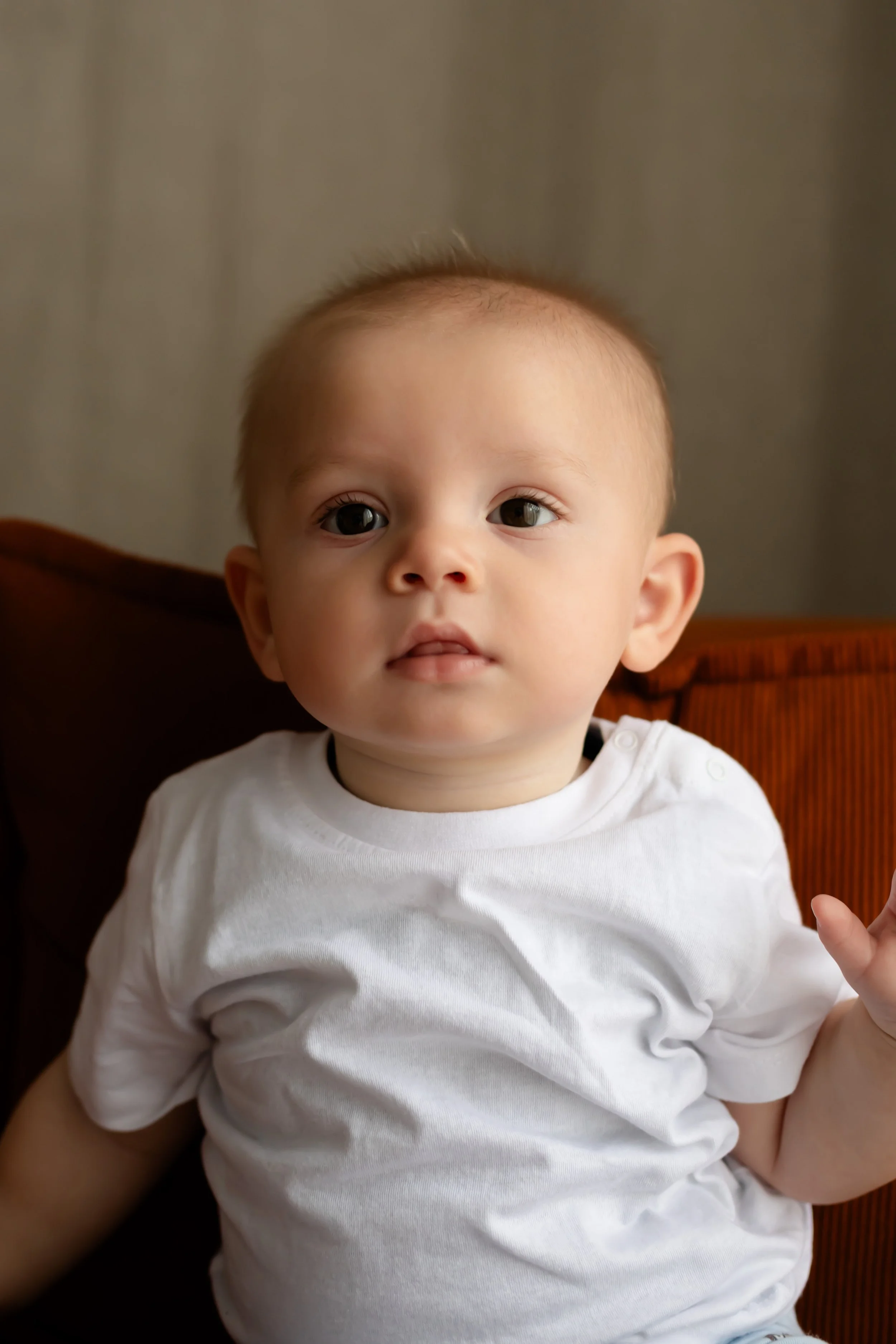 Frequently Asked Questions Before Booking Your Family or Newborn Session