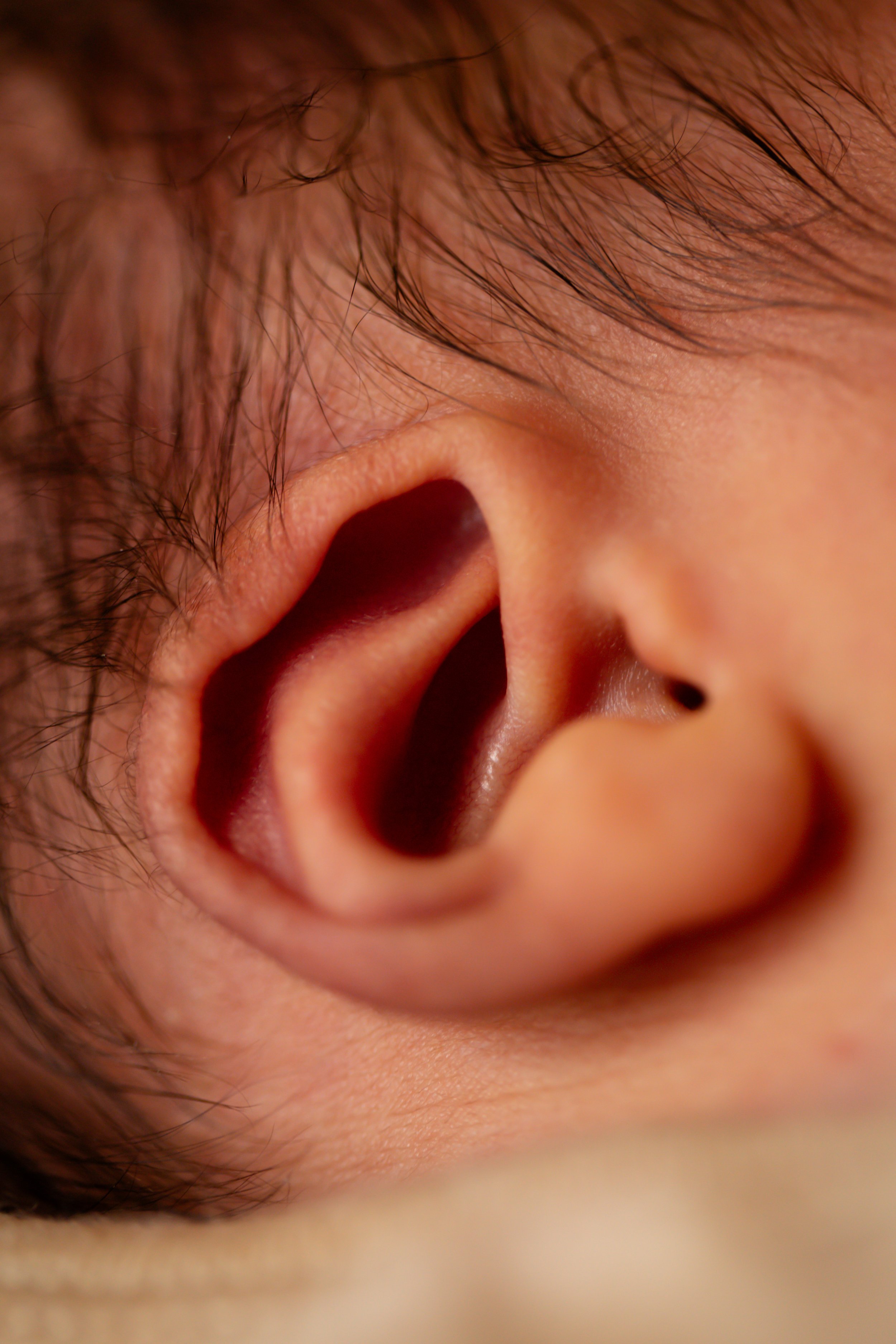 Close-up of newborn’s detailscaptured during a documentary-style Fresh 48 session in Geelong.