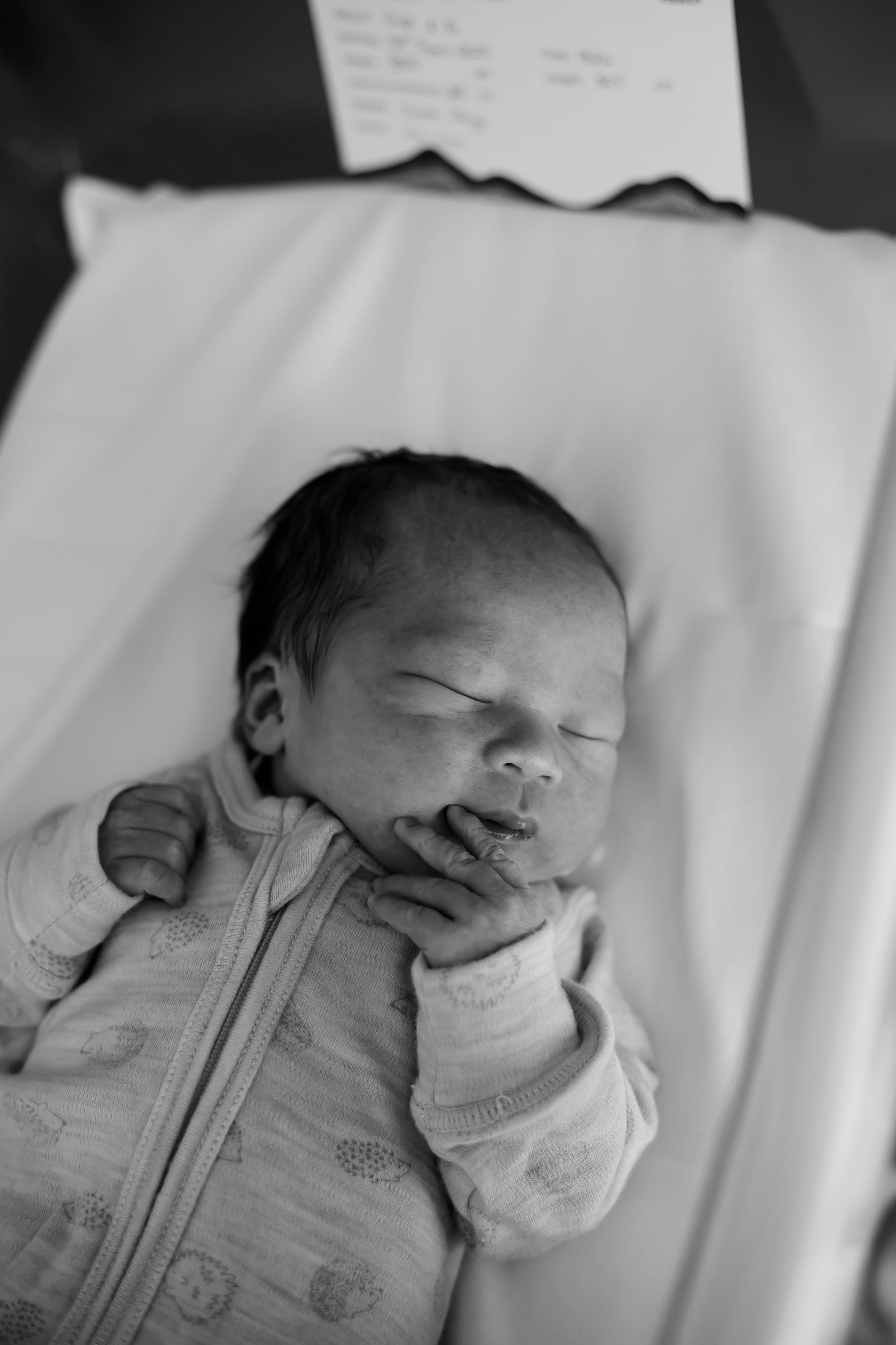 Newborn baby sleeping peacefully in hospital cot during a Fresh 48 newborn photography session in Geelong