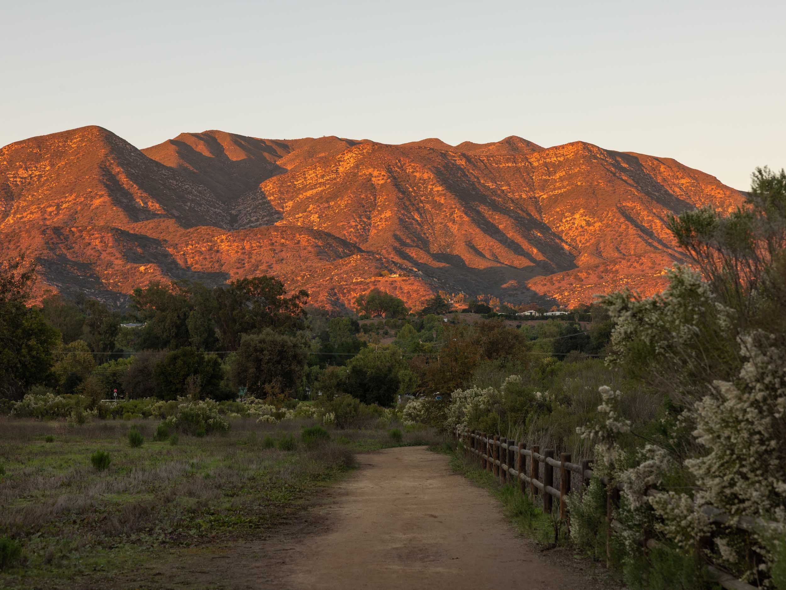 Unique Things To Do in California