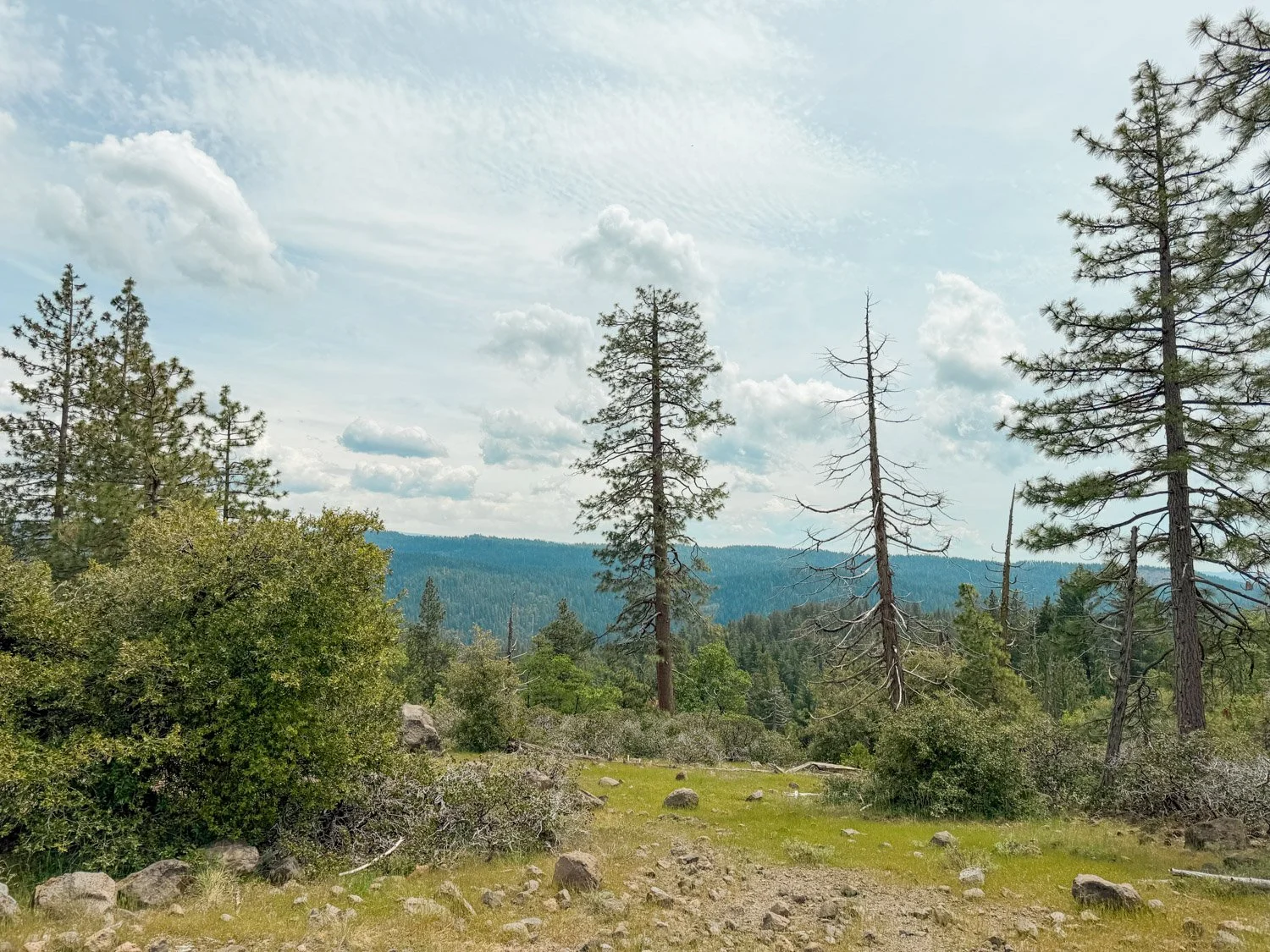 Best Places to Visit in California in Summer