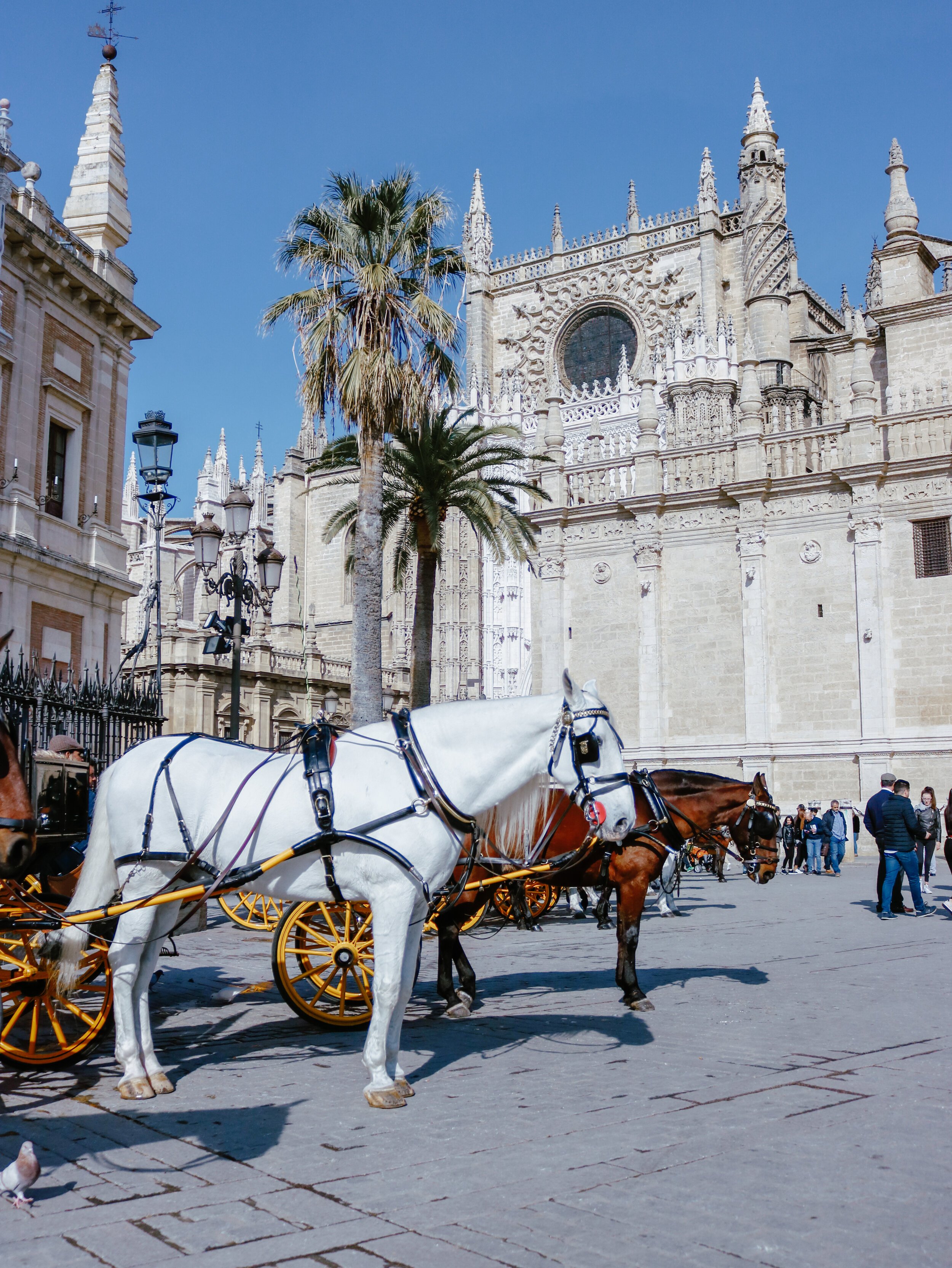 Seville Spain Andalusia