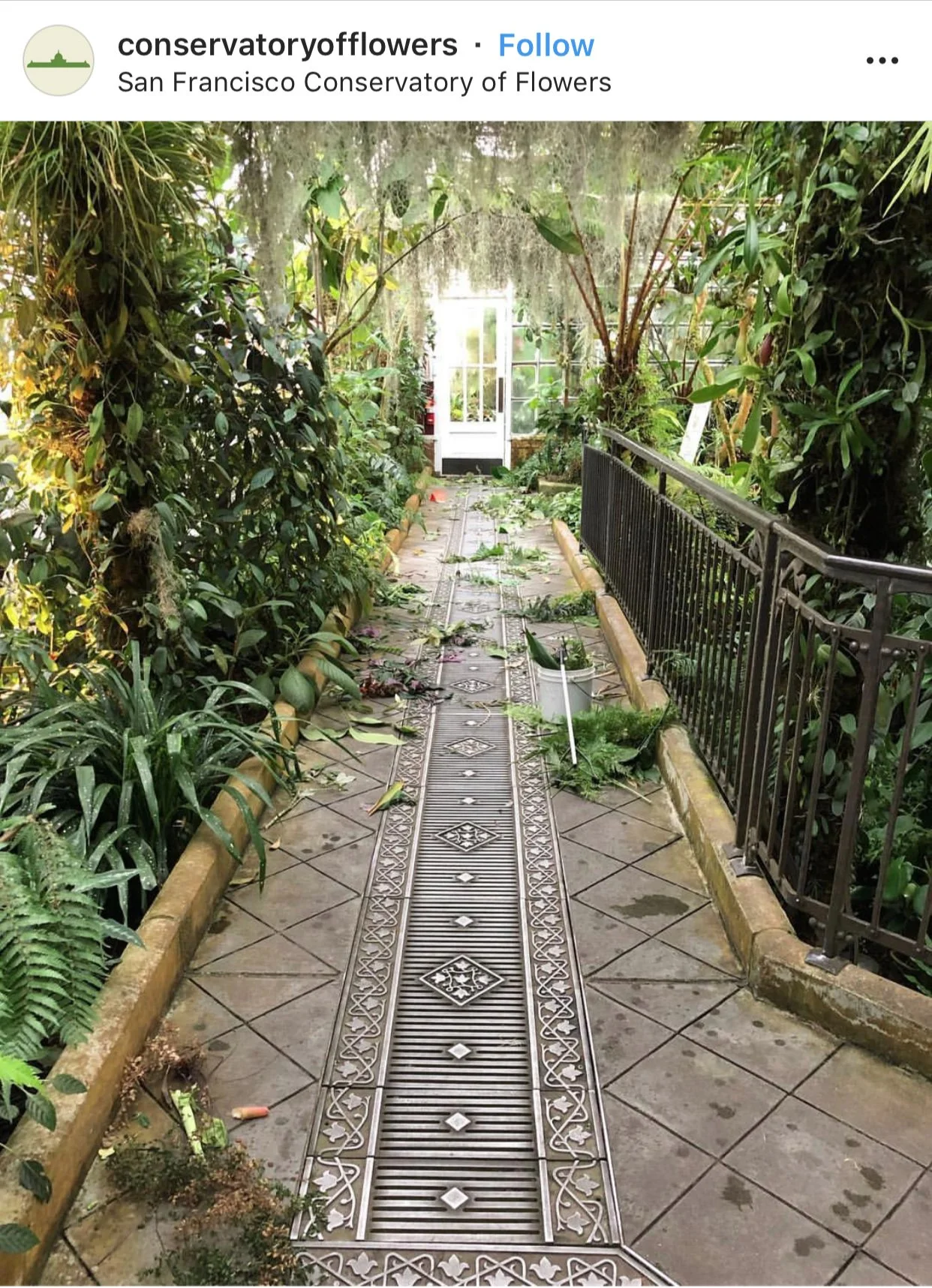 Conservatory of Flowers
