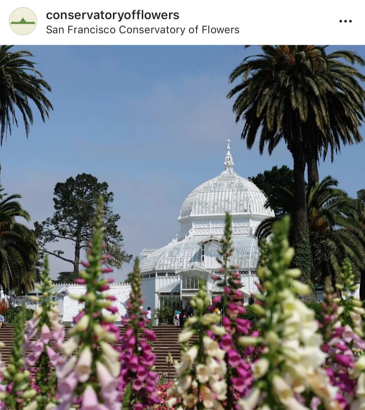 Conservatory of Flowers