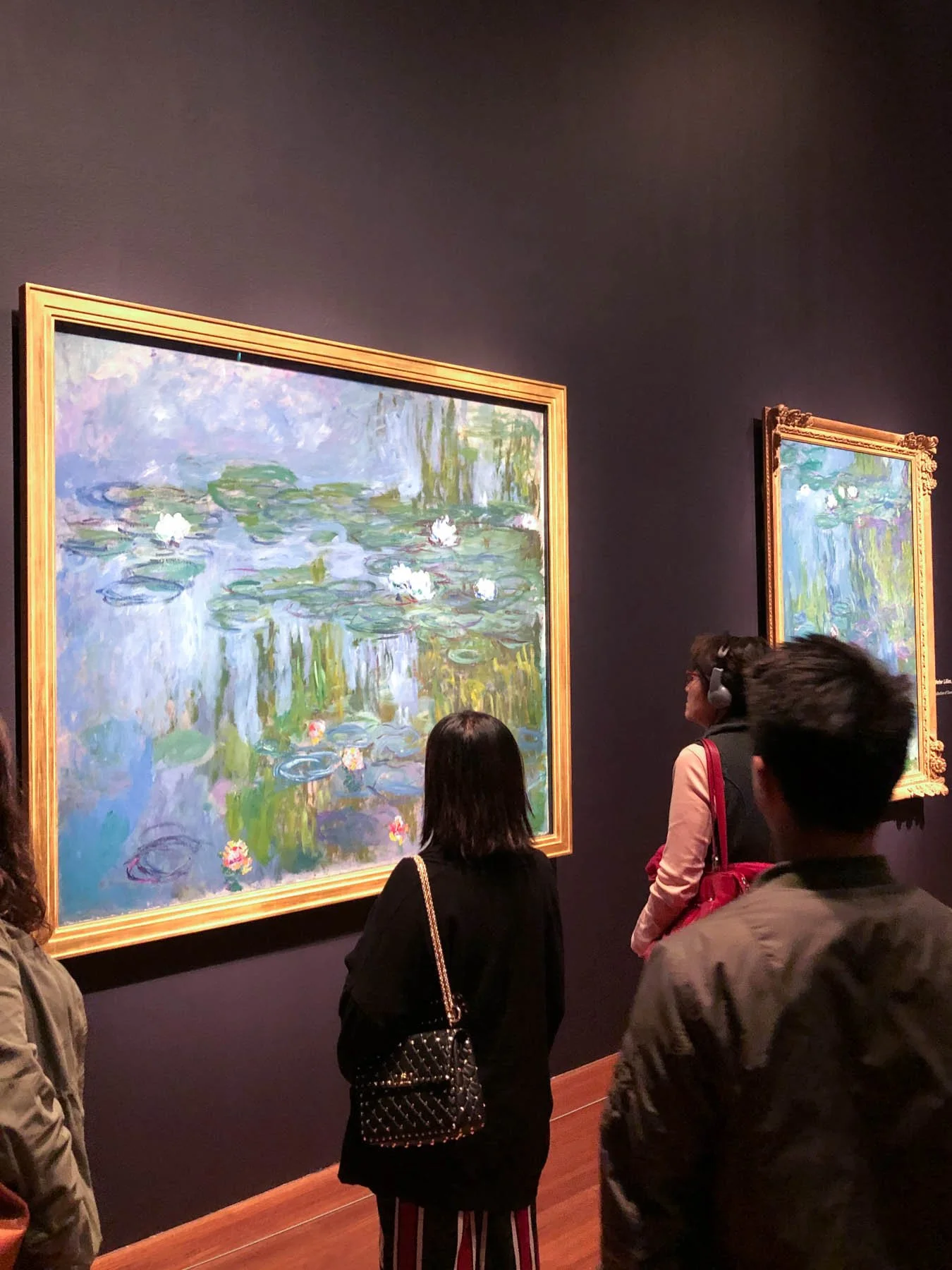 A Guide to the de Young Museum in San Francisco, California