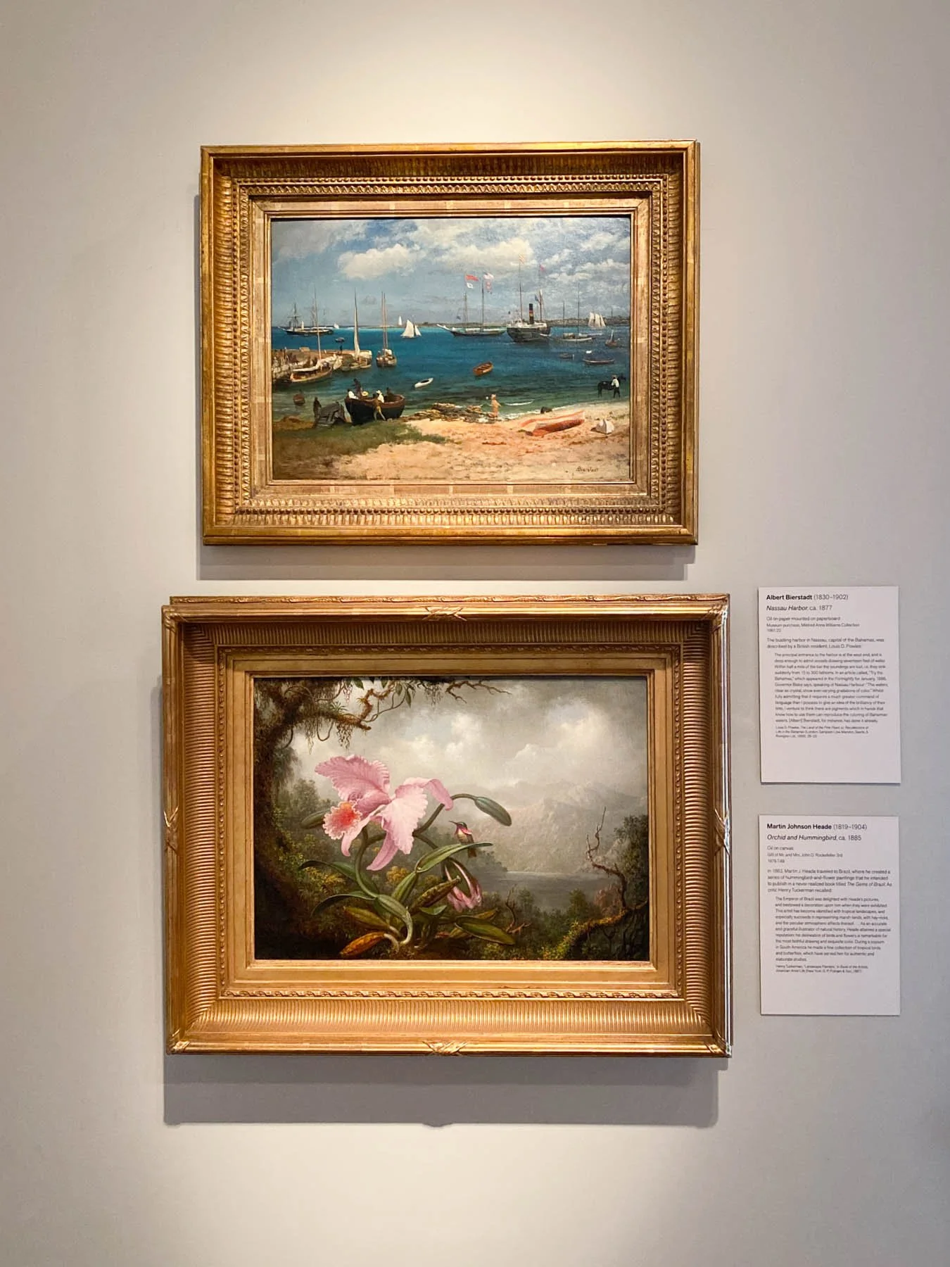 A Guide to the de Young Museum in San Francisco, California