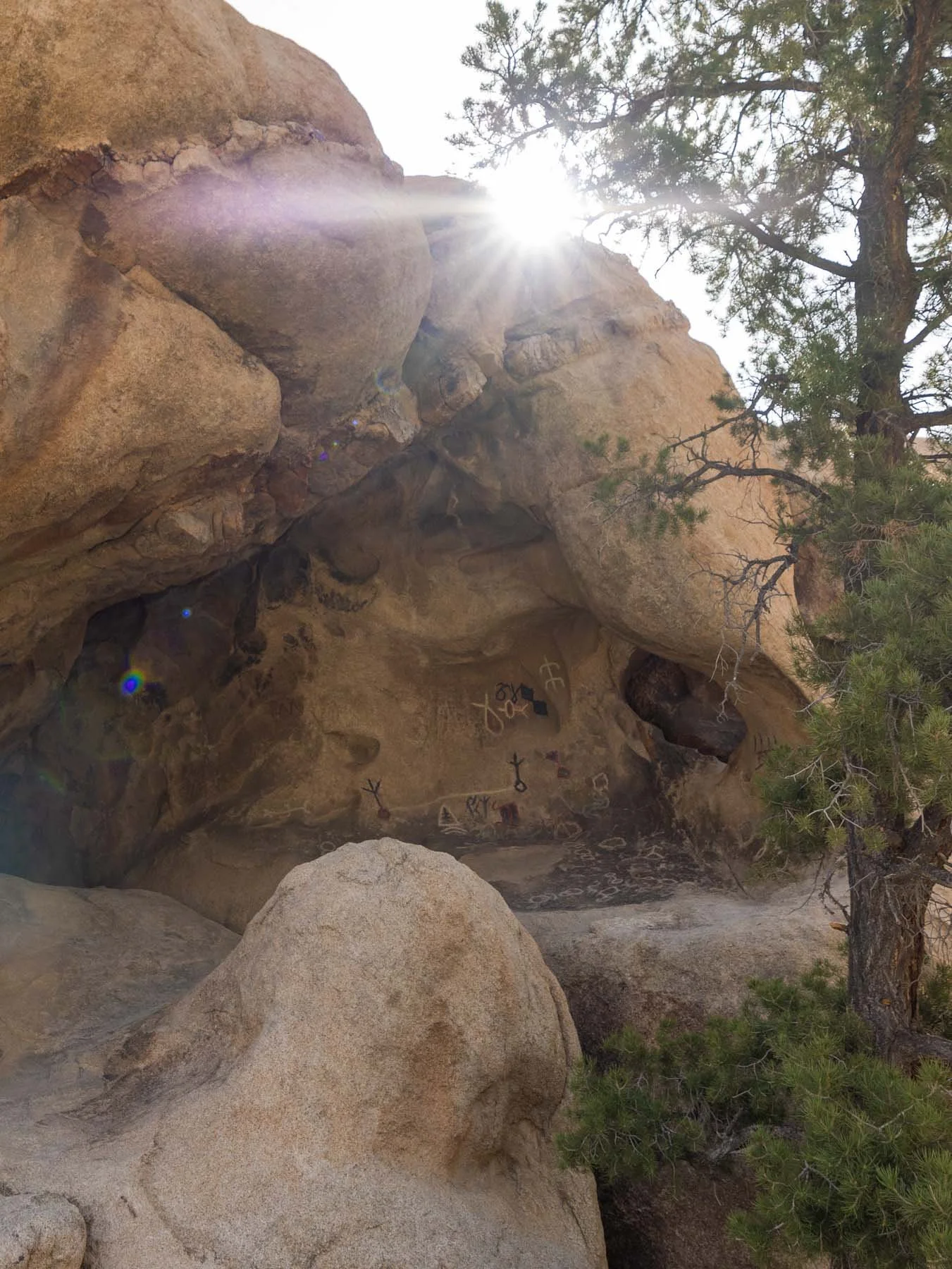 Joshua Tree National Park - Barker Dam Trail