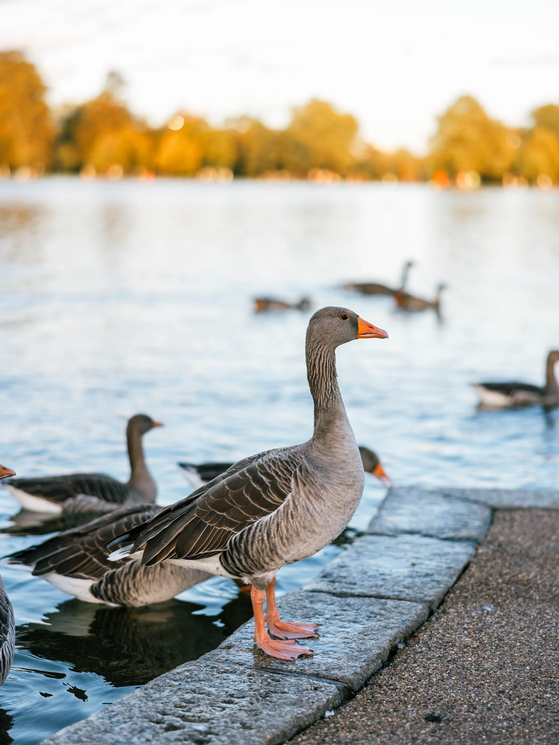 Free Things to Do in London