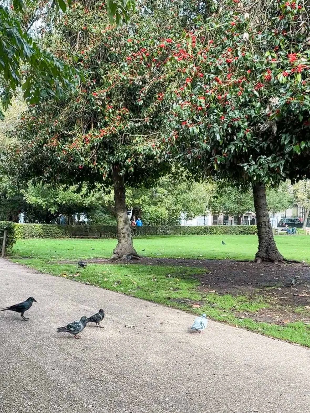 Free Things to Do in London