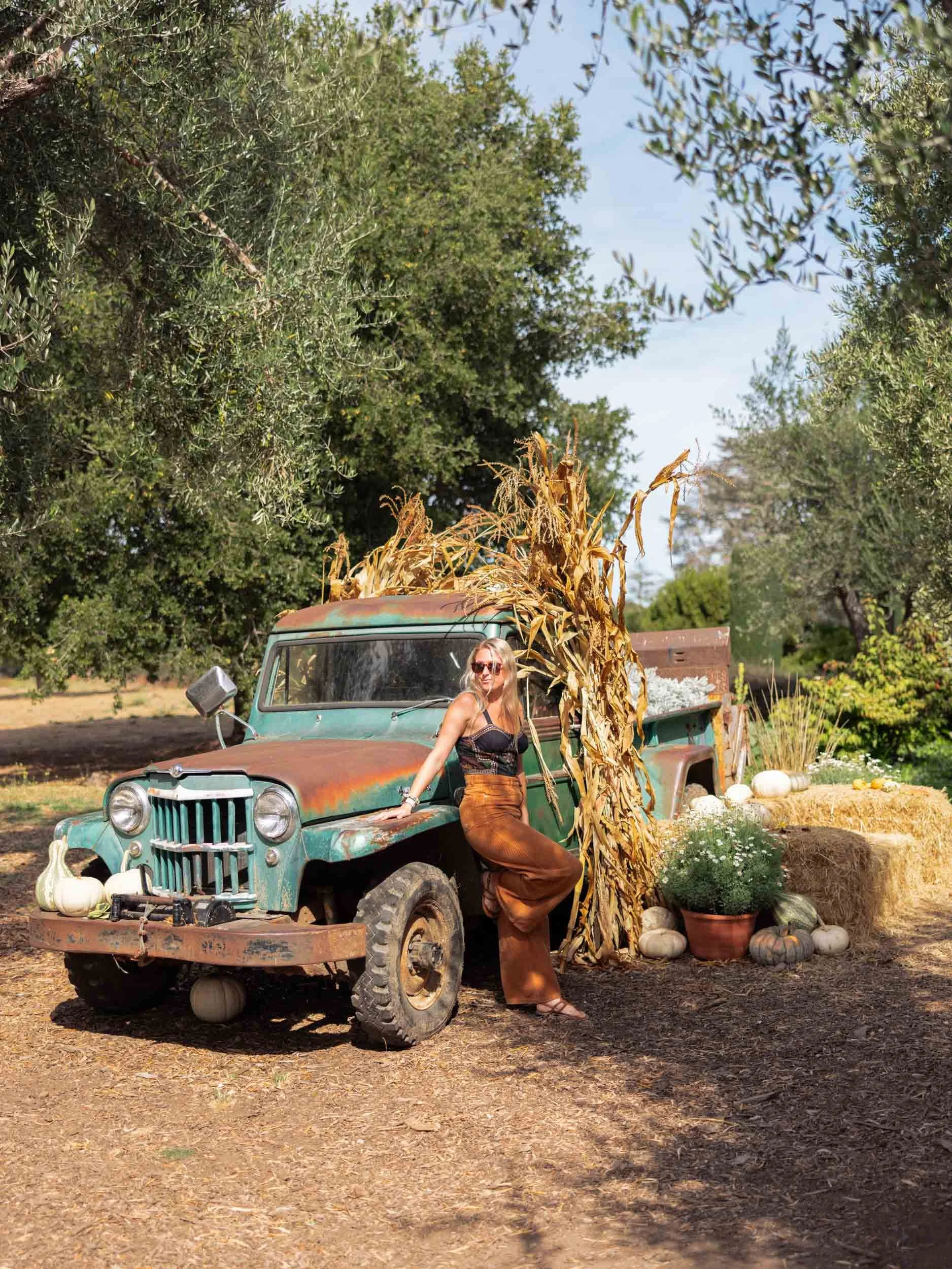 Filoli Historic House and Garden in Fall
